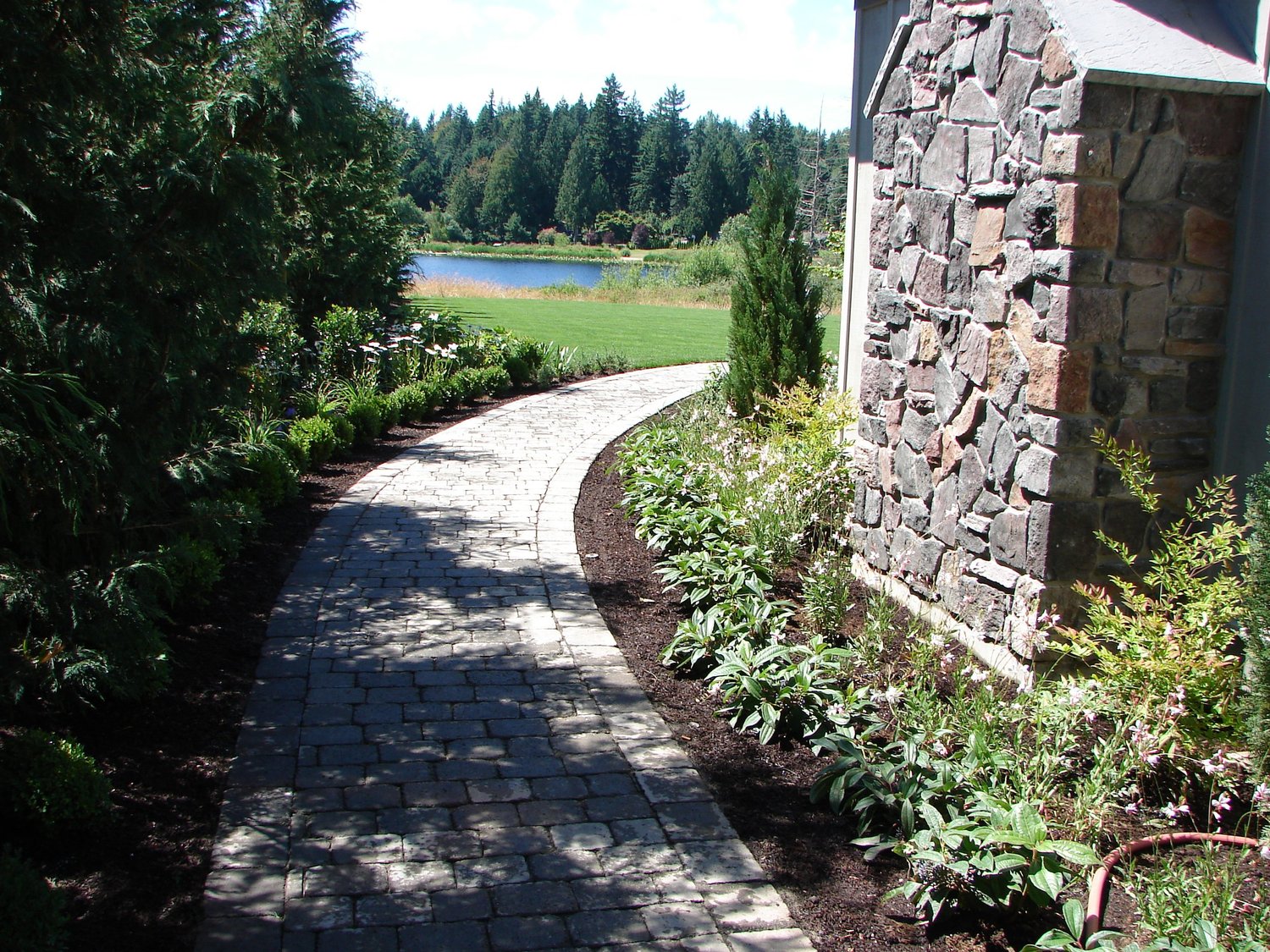 Climate-adapted plantings woven into a hardscape — a Mountain View Landscape & Design installation