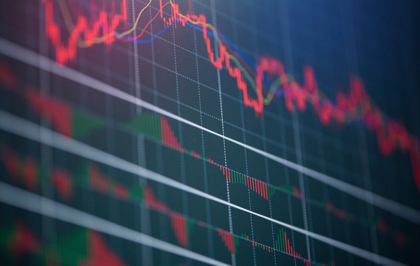 February 17th - Weekly Market Report