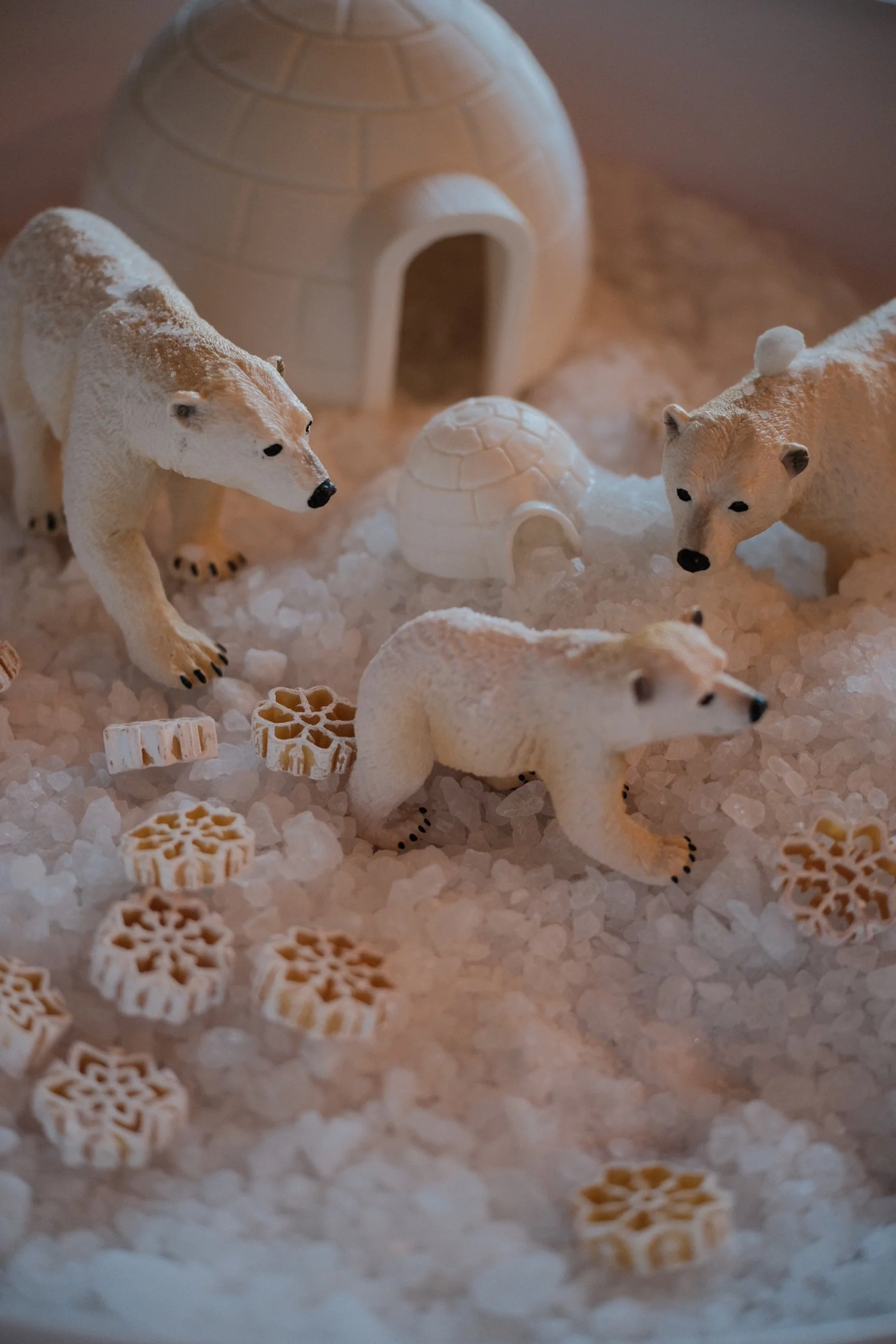 Arctic Adventure Book List