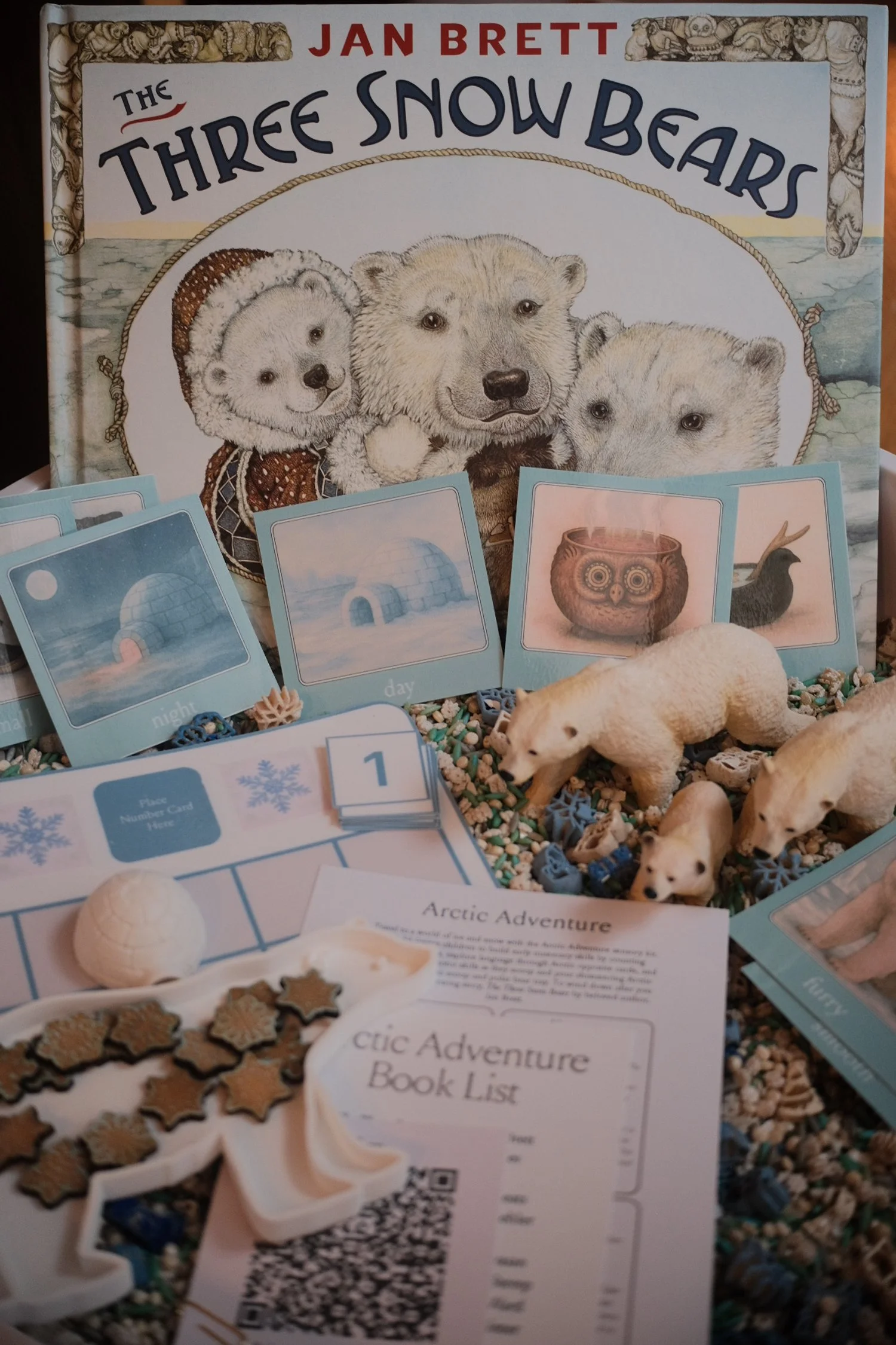January Montessori Sensory Kit - Arctic Adventure