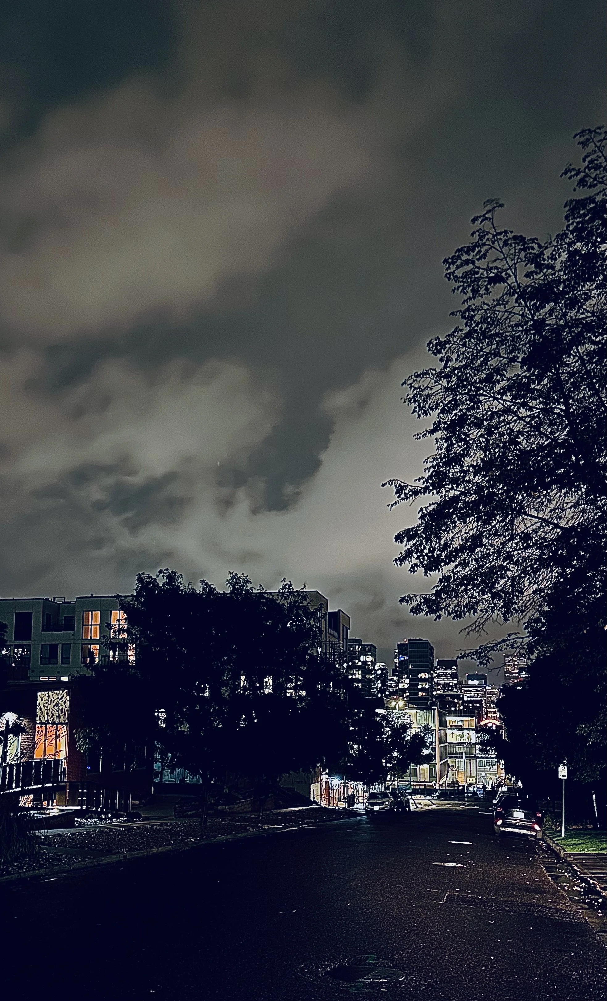 Art in a cruel world 