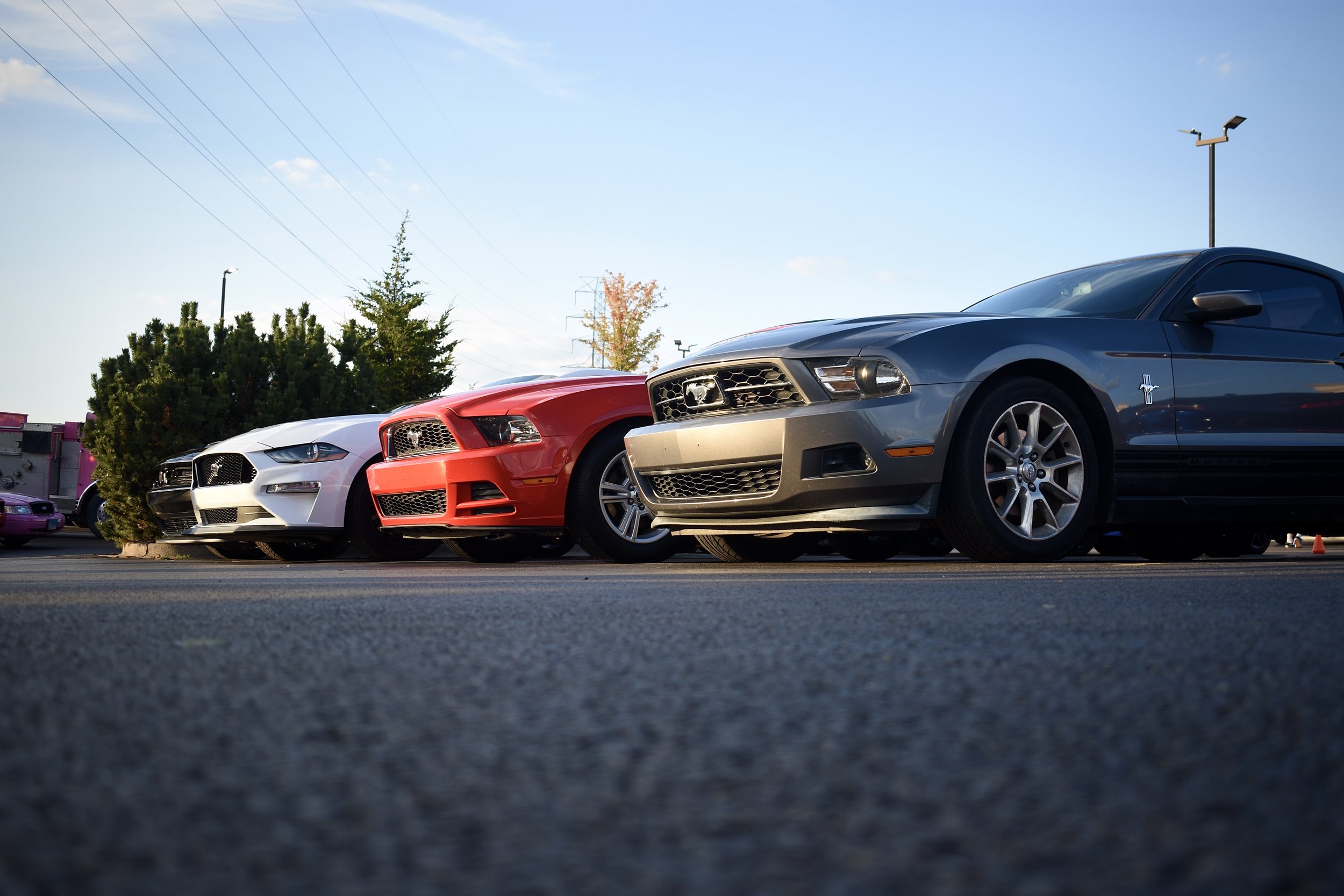 Three cars, a white, red, and gray ford mustang, are parked in a row on a parking lot with trees and power lines in the background.