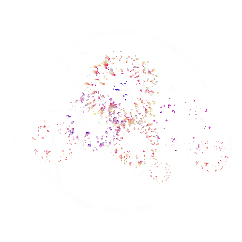 Butler Photography