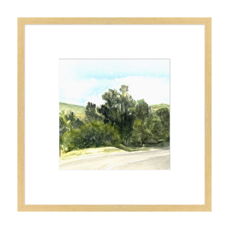 Laguna Canyon 1
