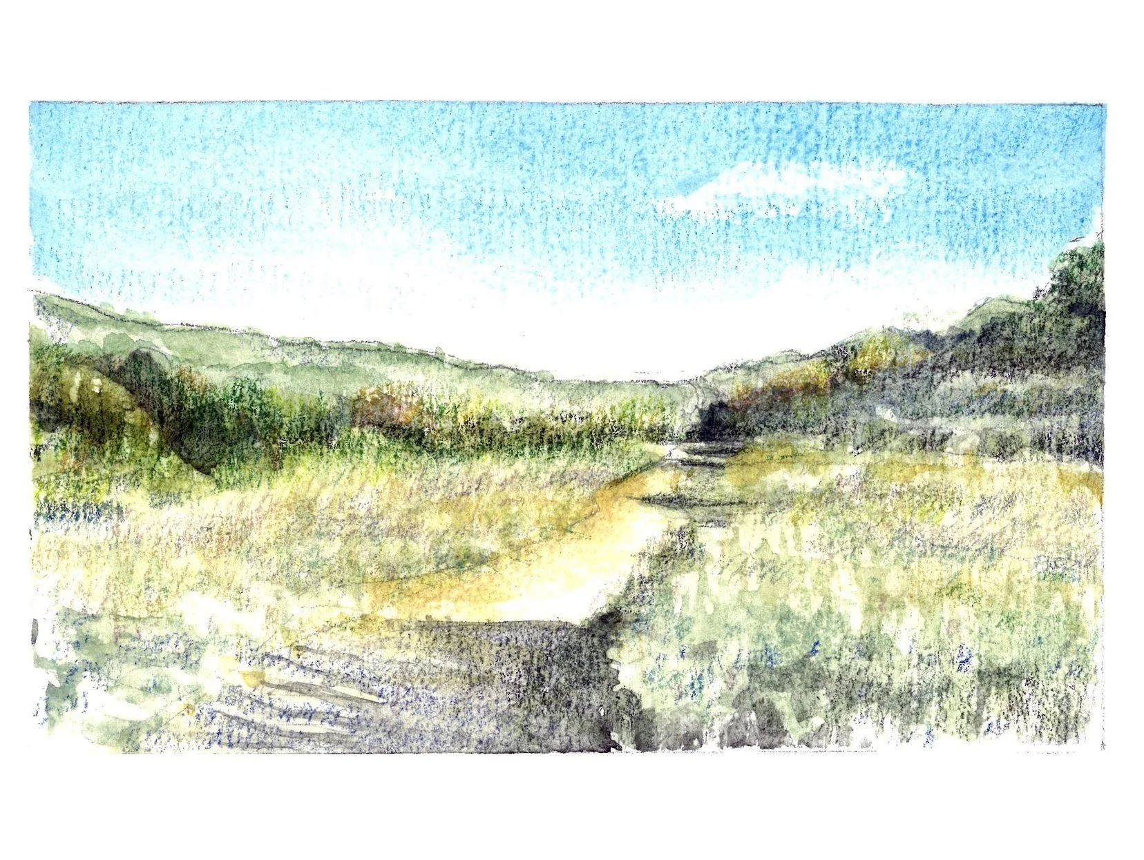 Willow Canyon 1
