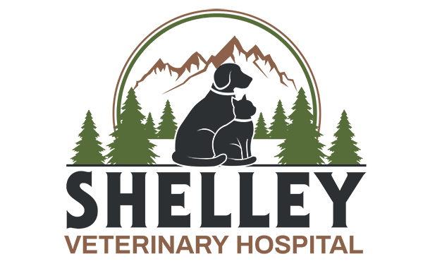 Shelly Veterinary Hospital