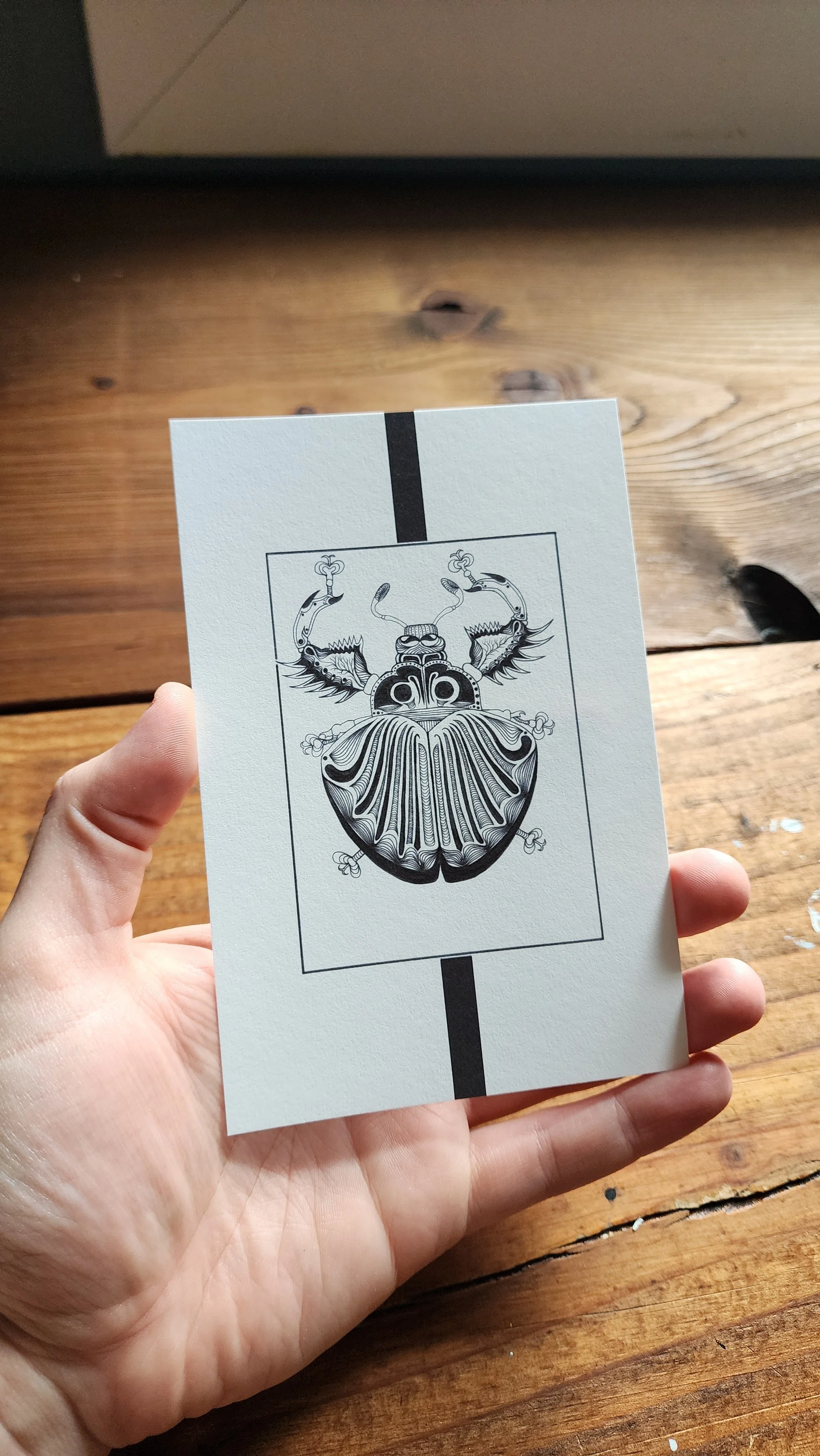 Armor Beetle 4x6 print1.jpg