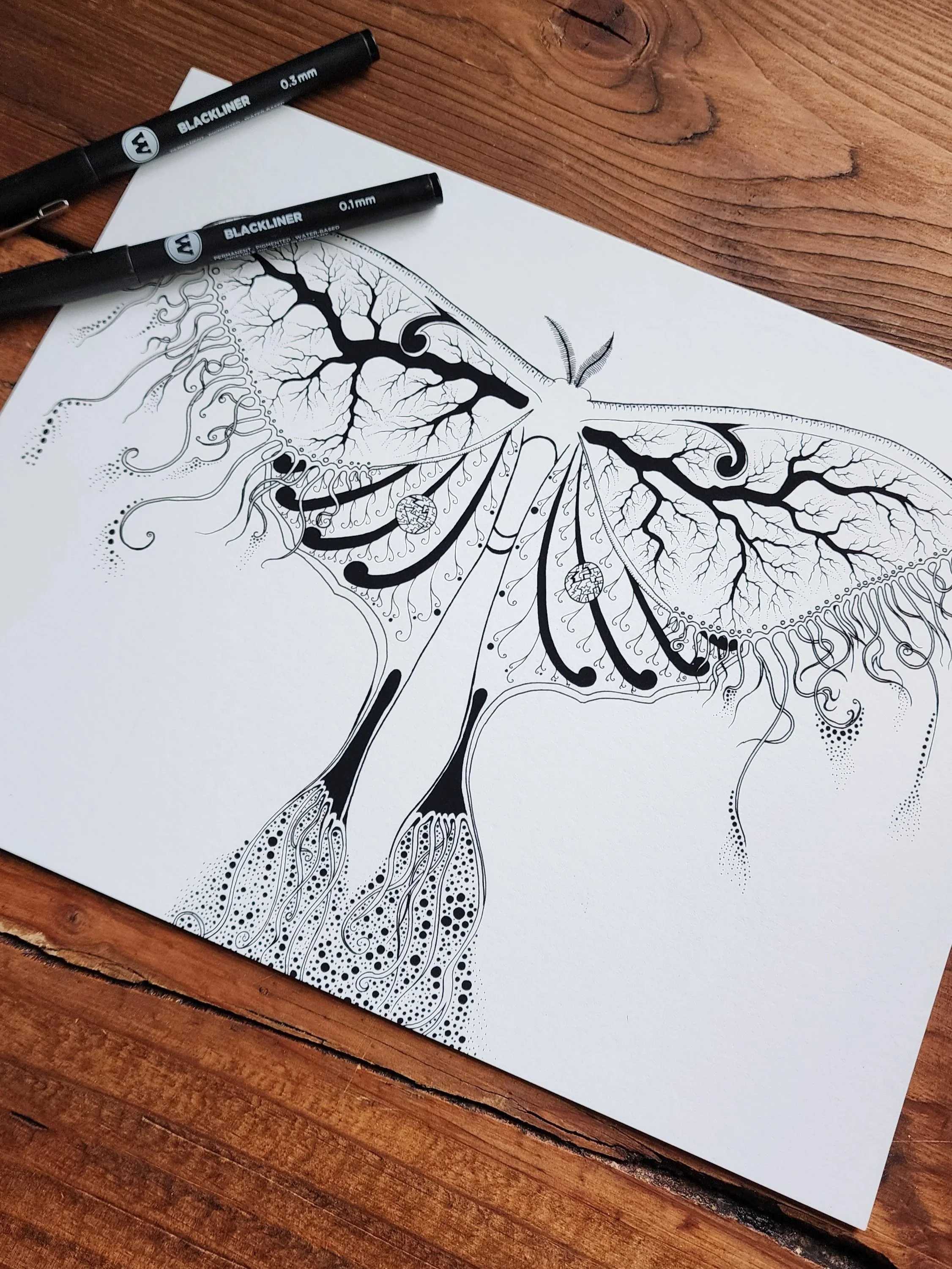 "Lunar Moth" signed print