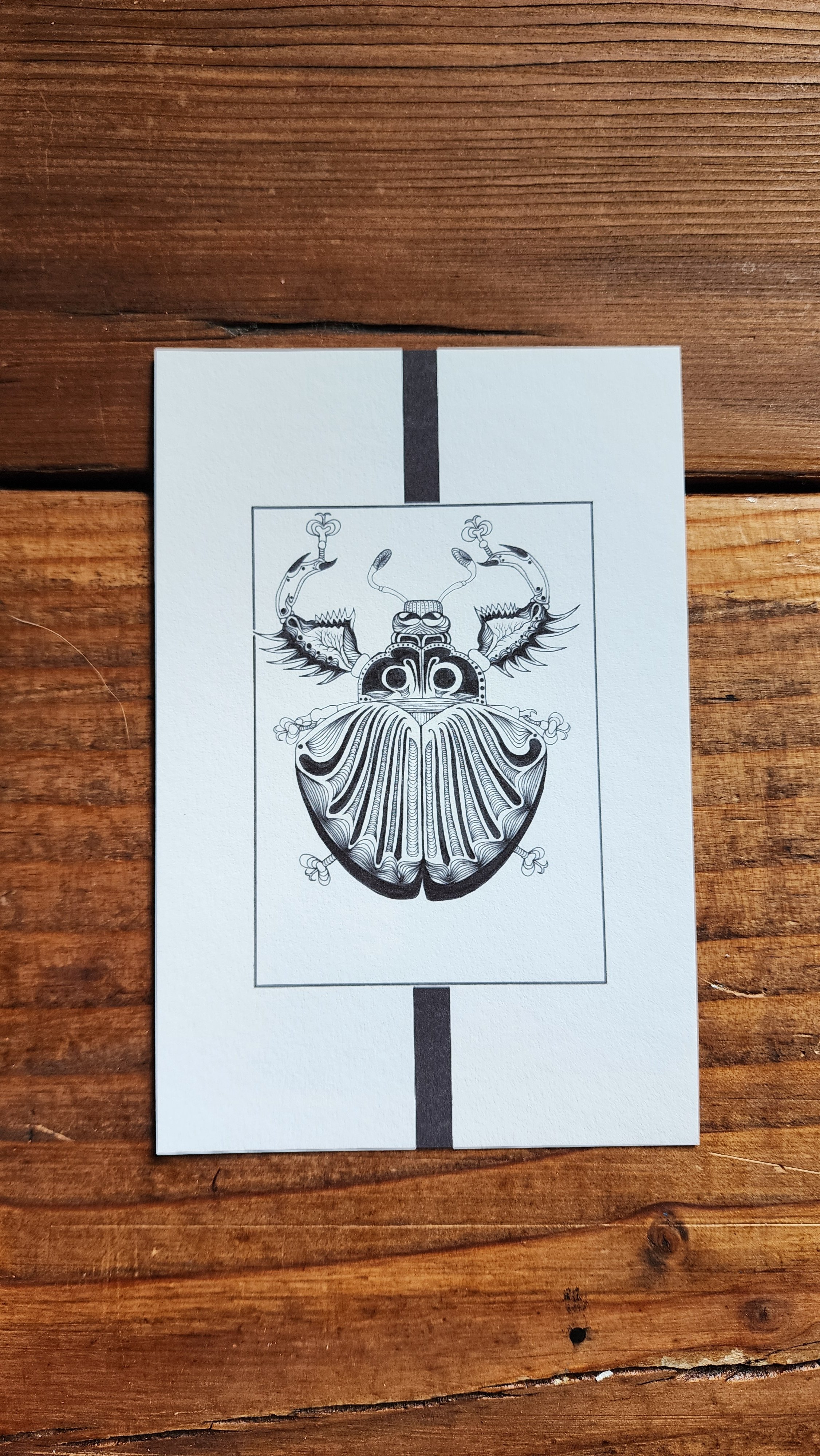 Armor Beetle 4x6 print3.jpg