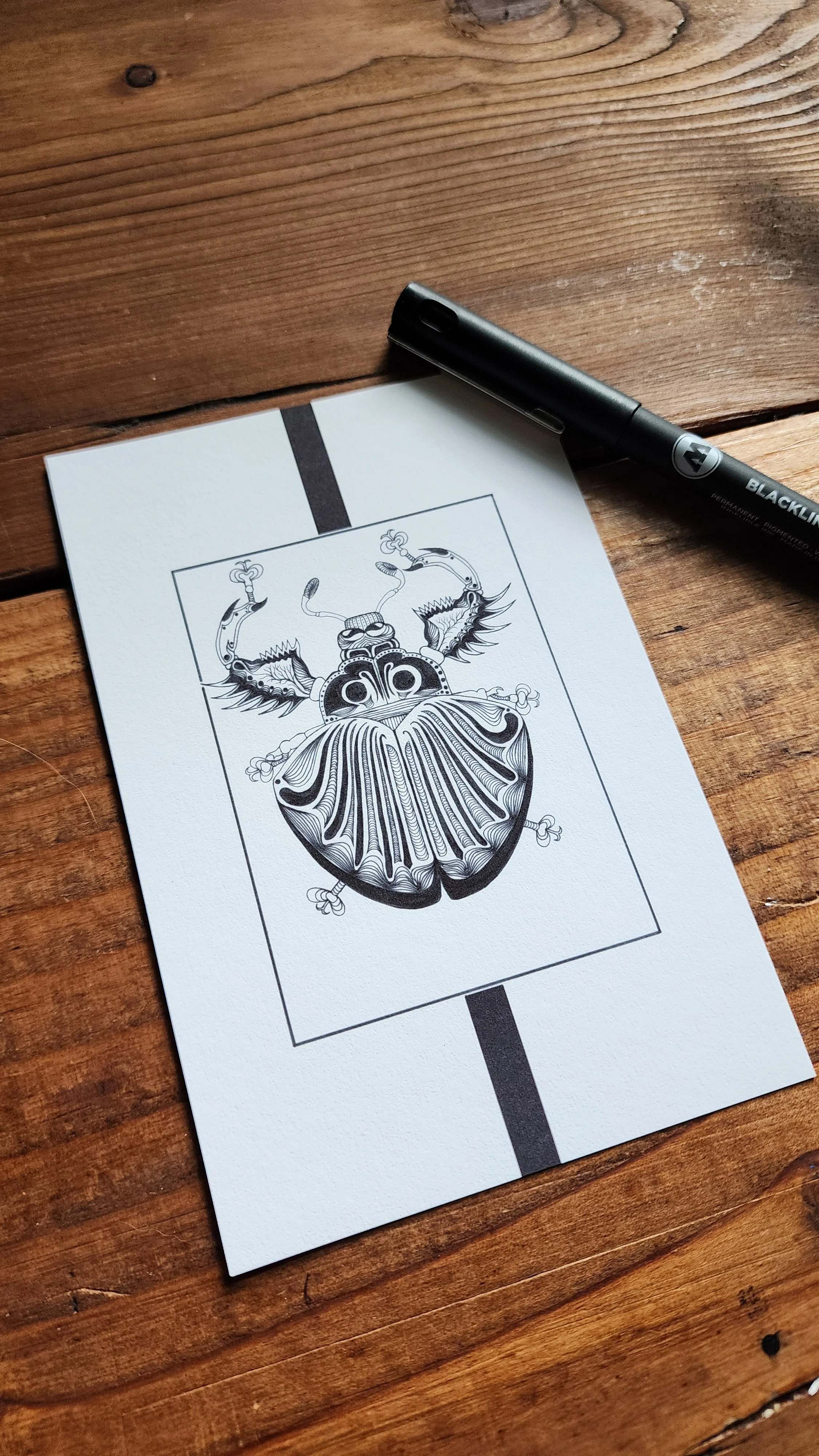 Armor Beetle 4x6 print2.jpg