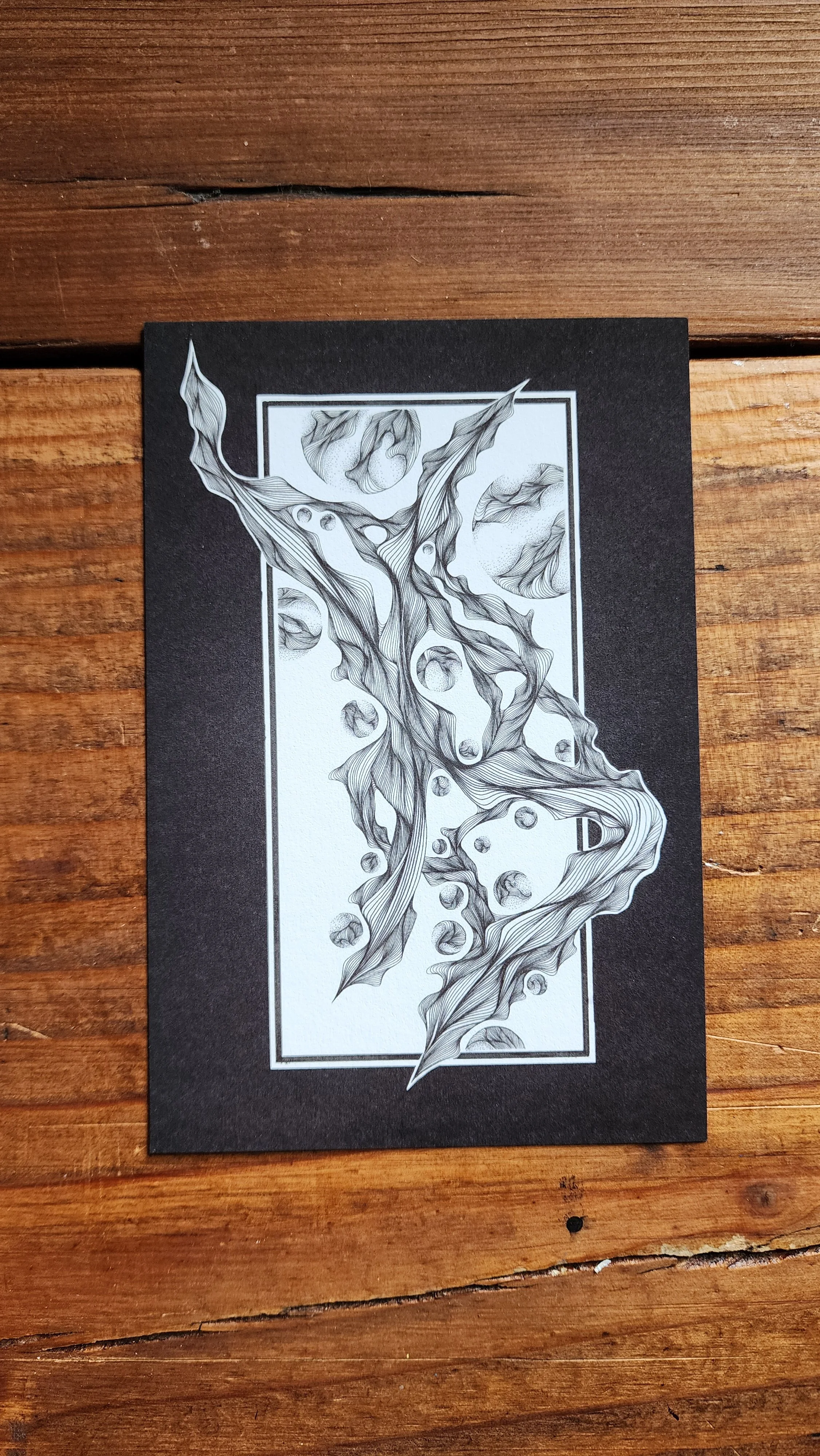 Celestial Bodies 4x6 print3.jpg
