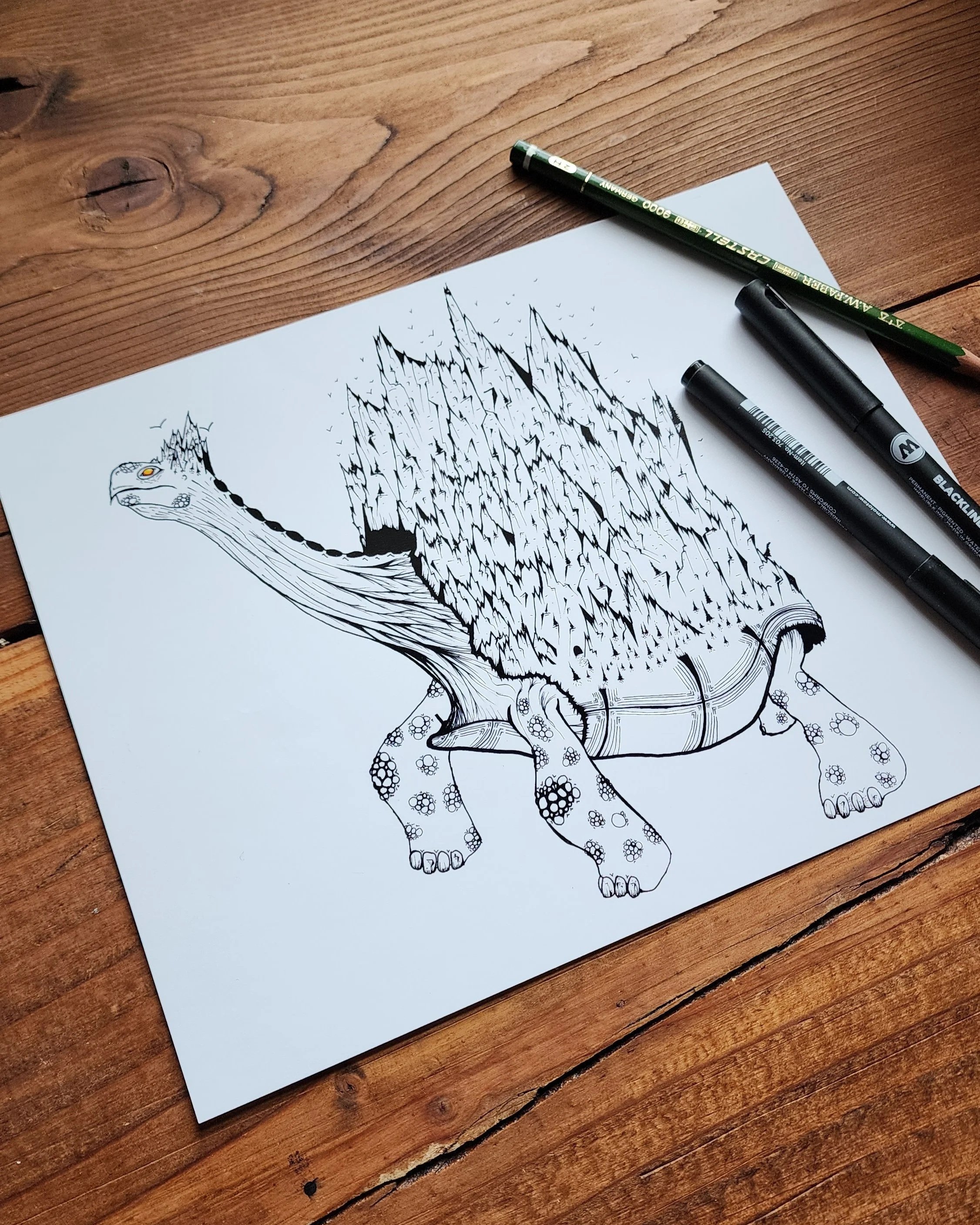 "Mountain Tortoise" signed print