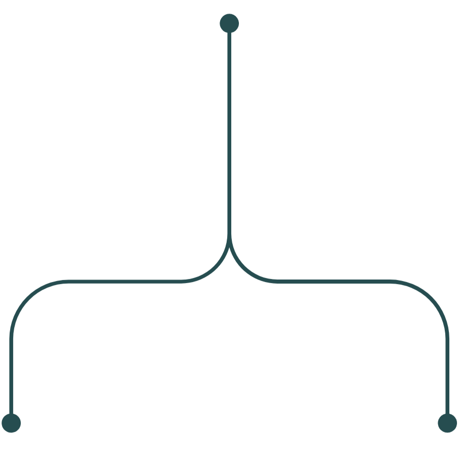Brightly colored network diagram with nodes and lines connecting them.