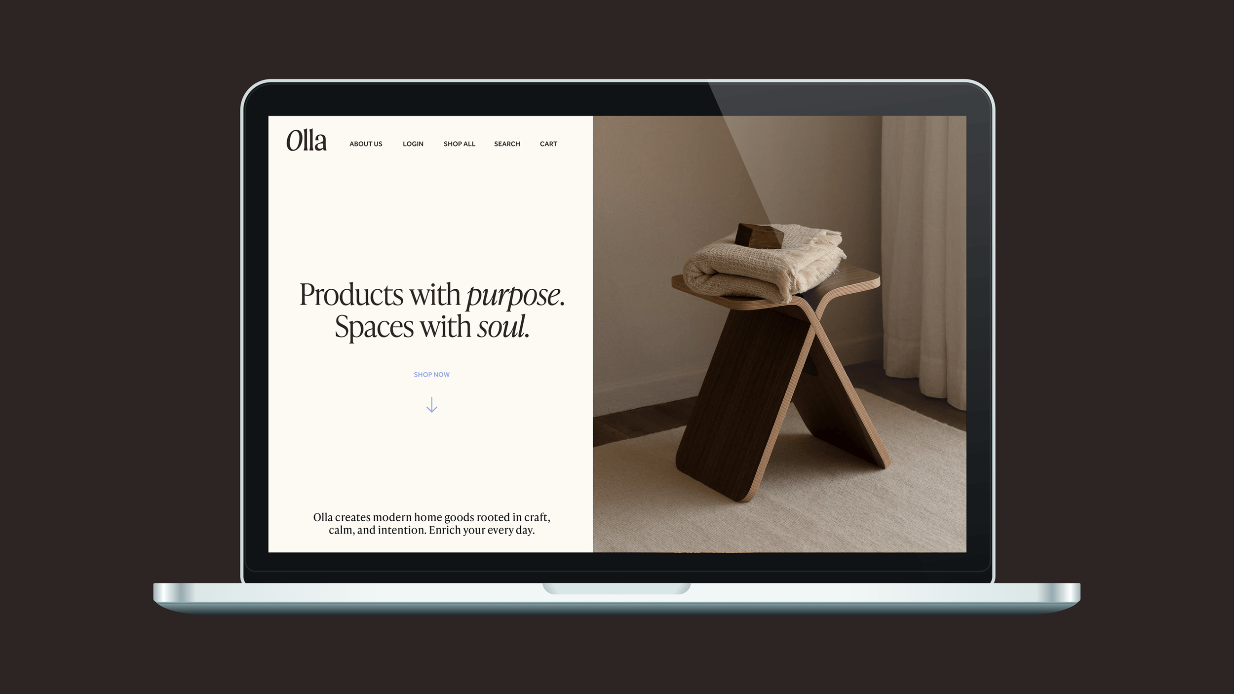Olla-Web.png