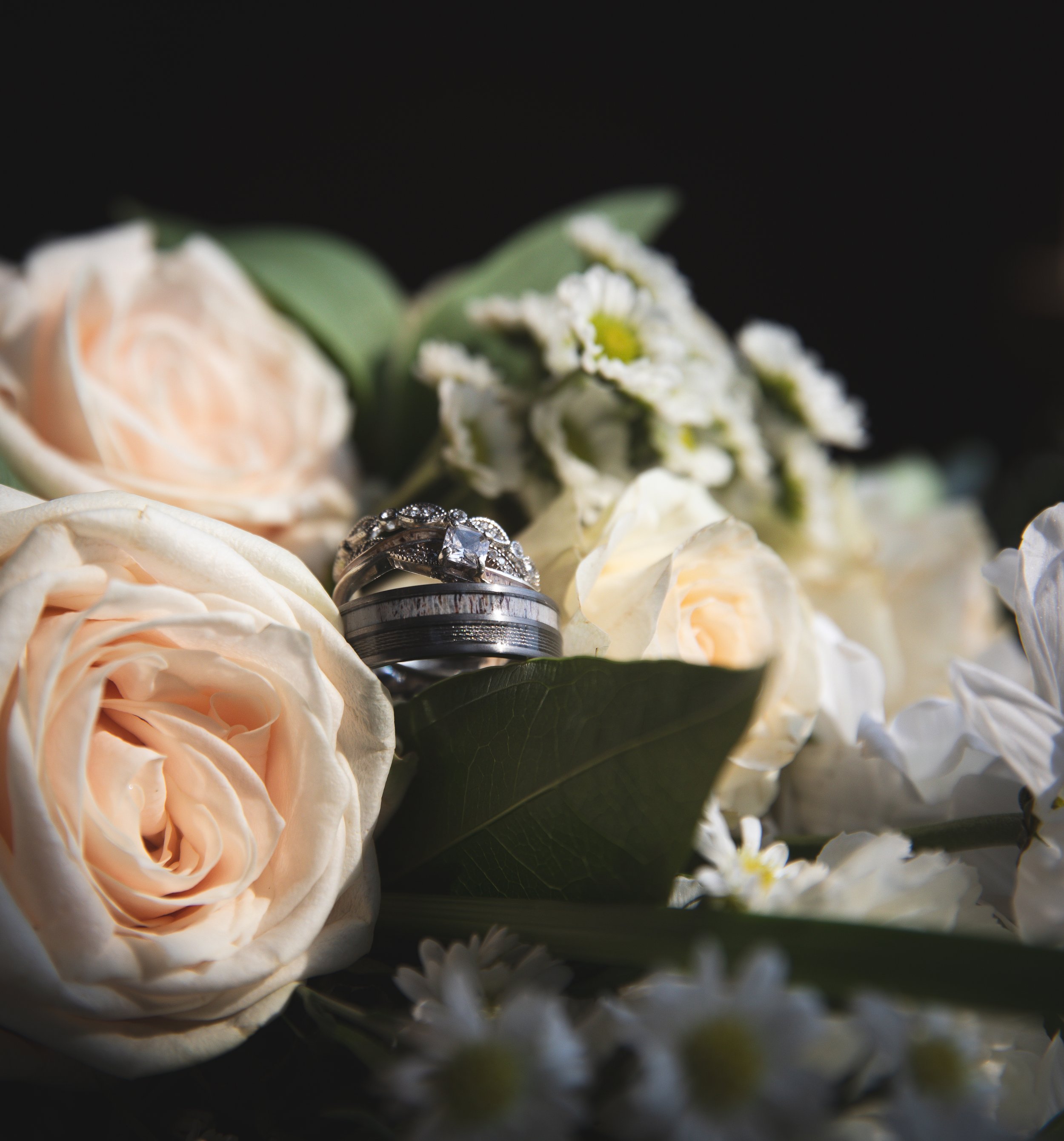 HolaHortonPhoto-304.jpg