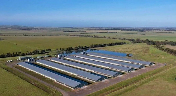 Poultry Farm Developments - NSW and Victoria