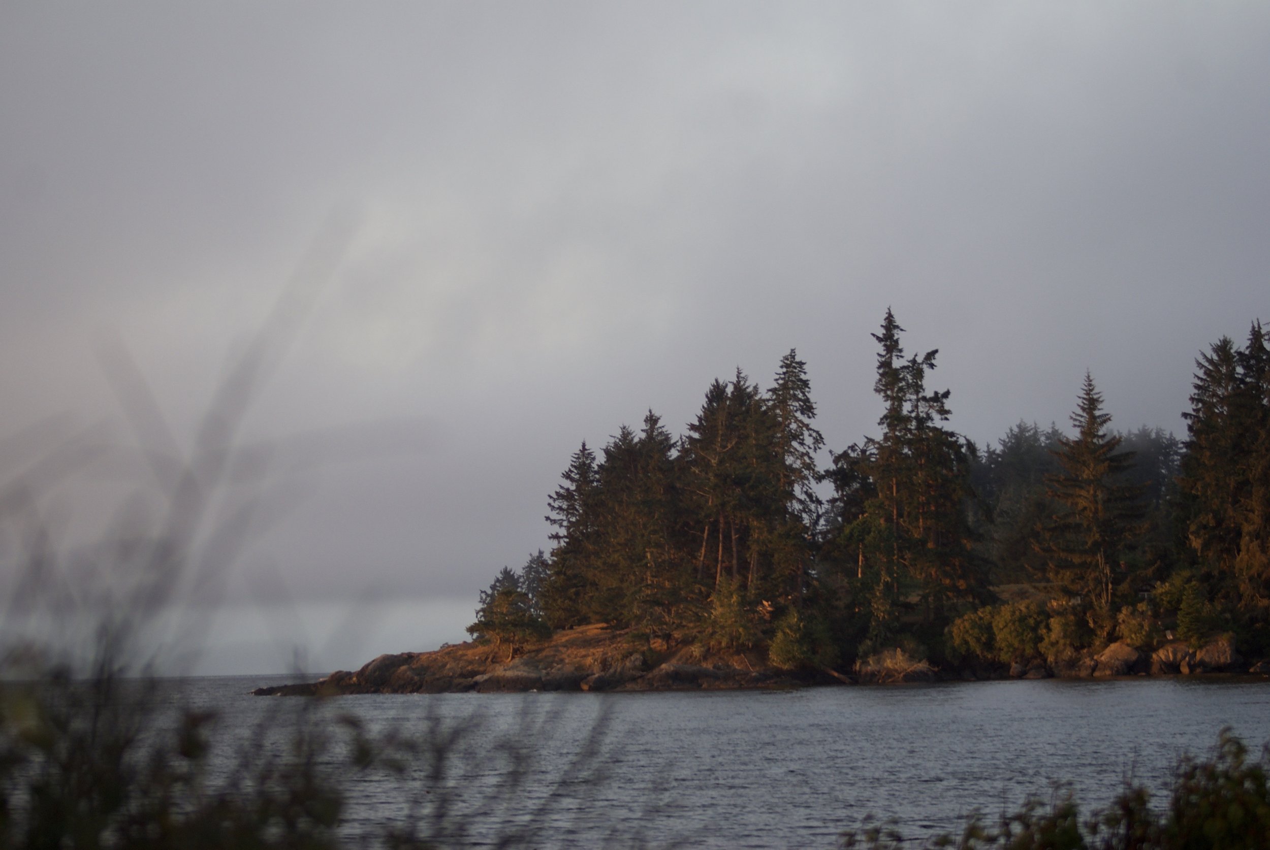 DSC00379 3.jpg