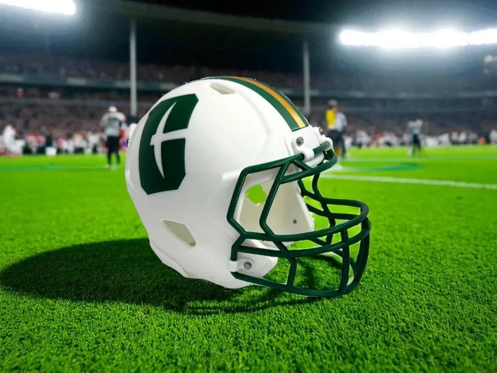 UNCC Helmet.jpg