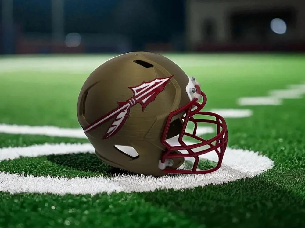Florida State Seminoles Helmet.jpg