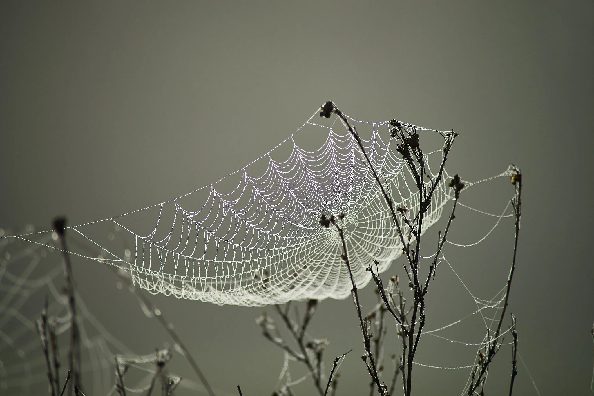 SEMD611 - DSC_5145 - Ratio 2x3.jpg