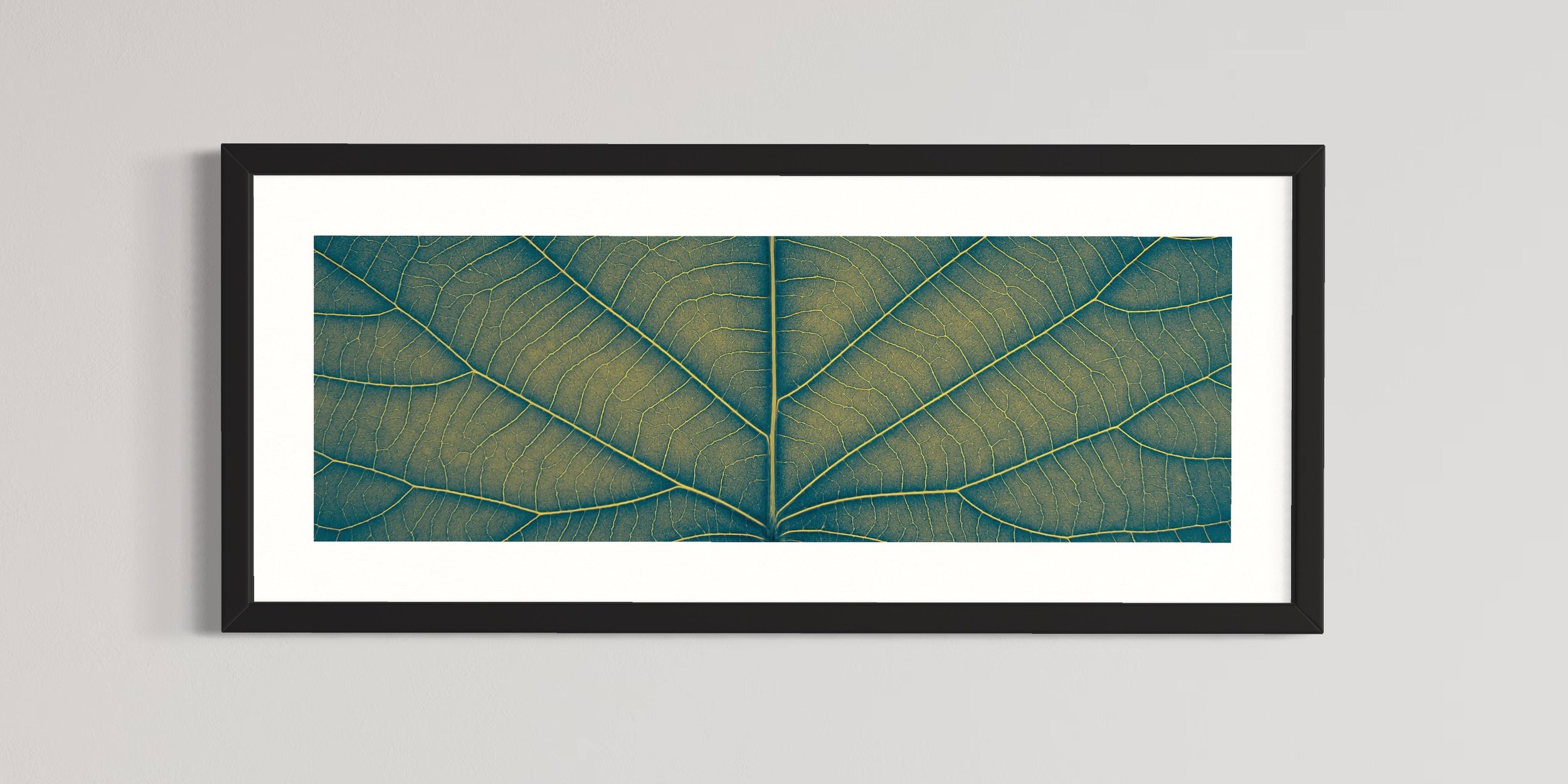 SEMD392 - Black Frame.JPG
