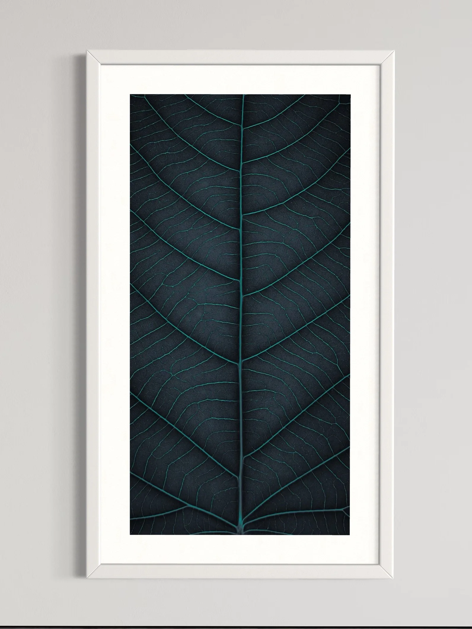 SEMD376 - White Frame.jpeg