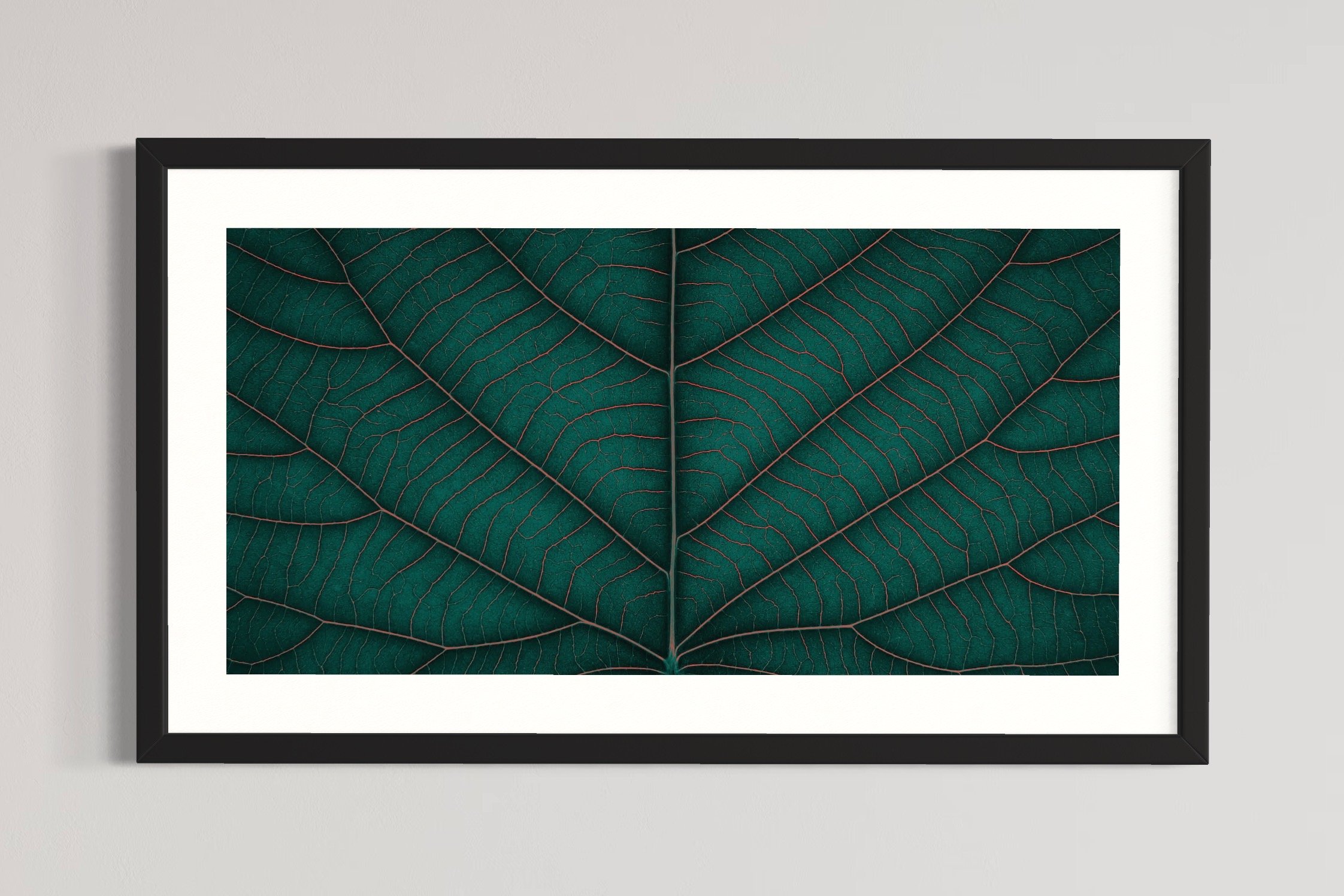 SEMD388 - Black Frame.JPG
