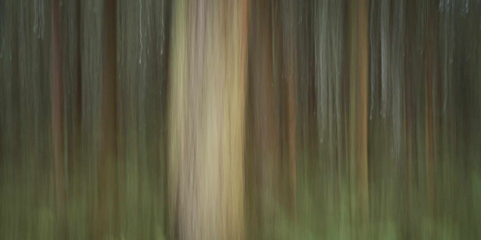 SEMD596 - DSC_5487 - Ratio 1x2.jpg