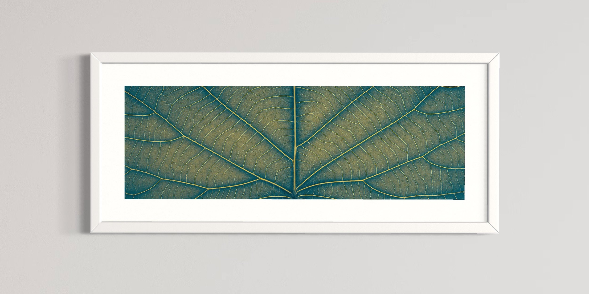 SEMD392 - White Frame.JPG