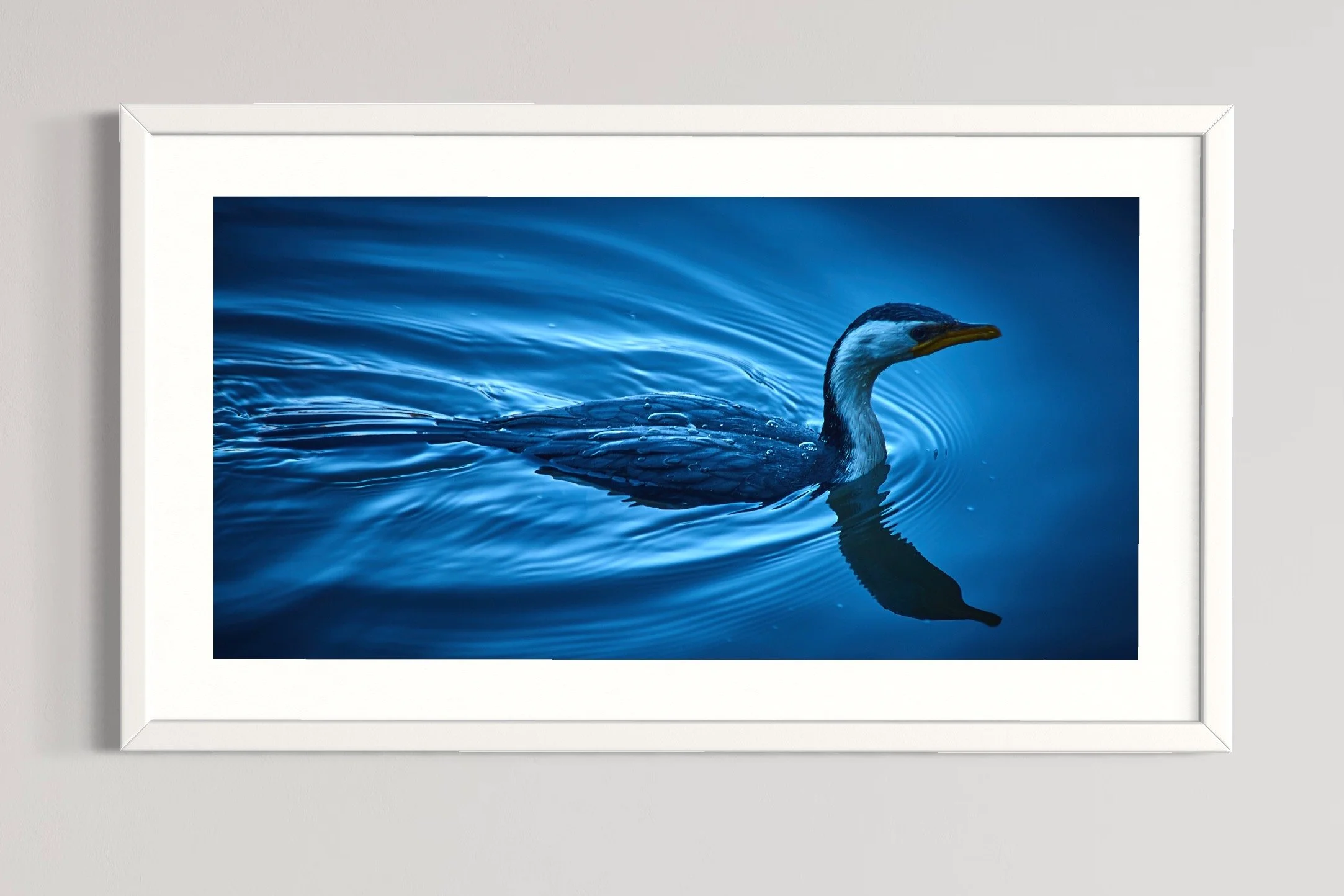 SEMD575 - White Frame.jpg