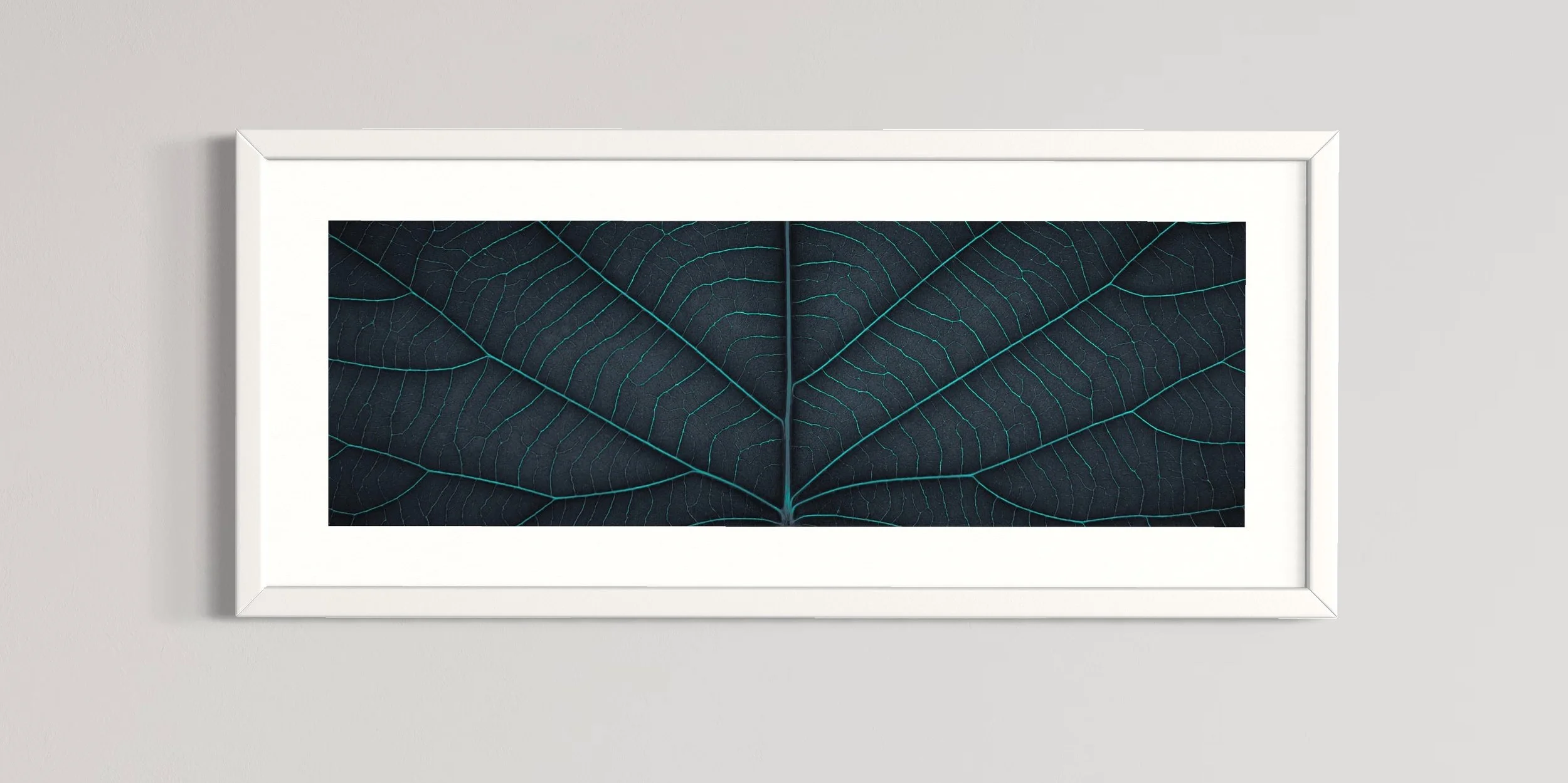 SEMD395 - White Frame.JPG