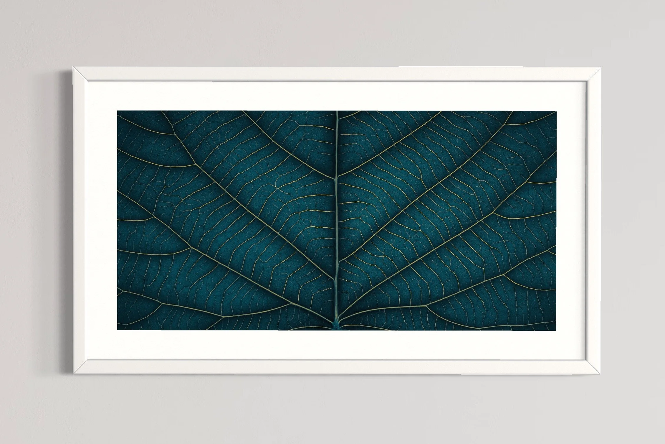SEMD389 - White Frame.JPG