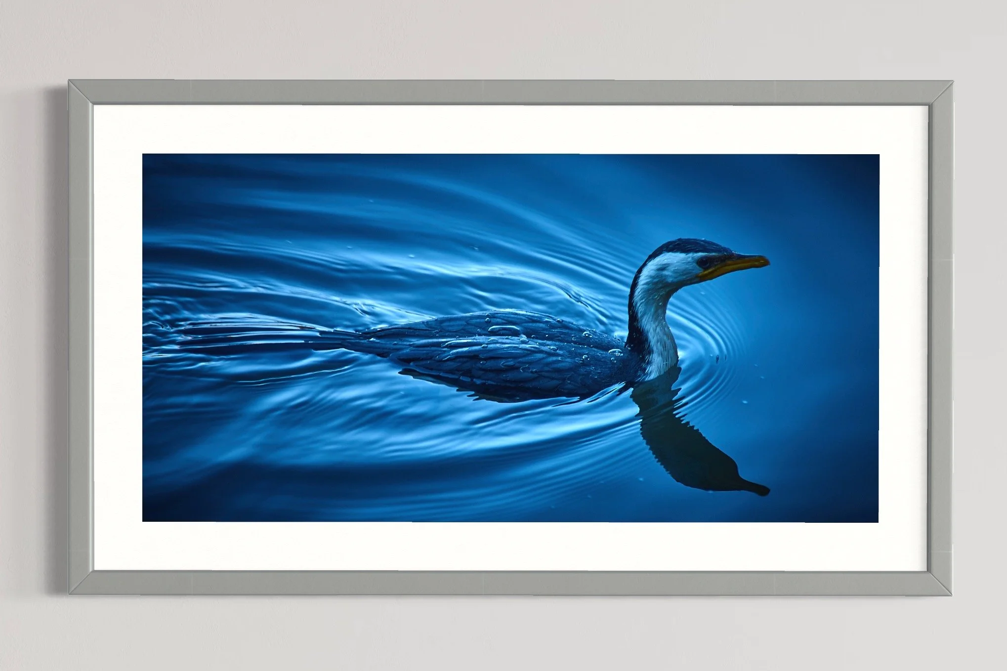 SEMD575 - Silver Frame.jpg