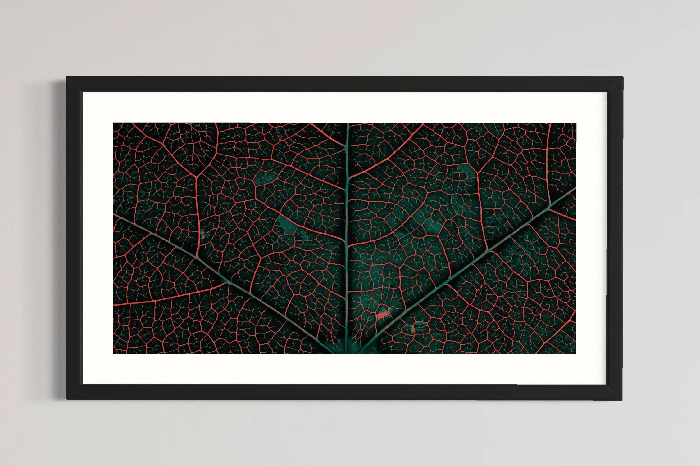 SEMD351 - Black Frame.JPG