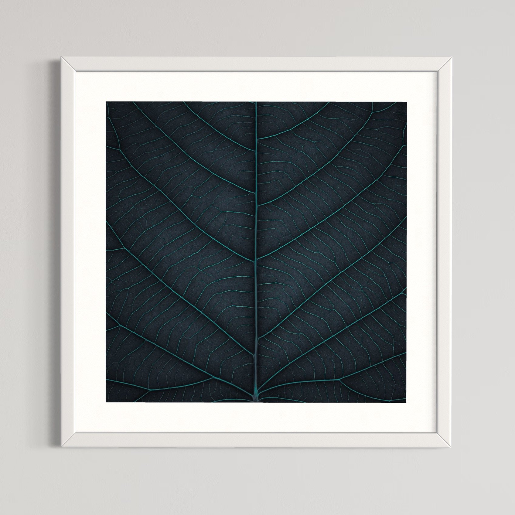 SEMD396 - White Frame.jpeg