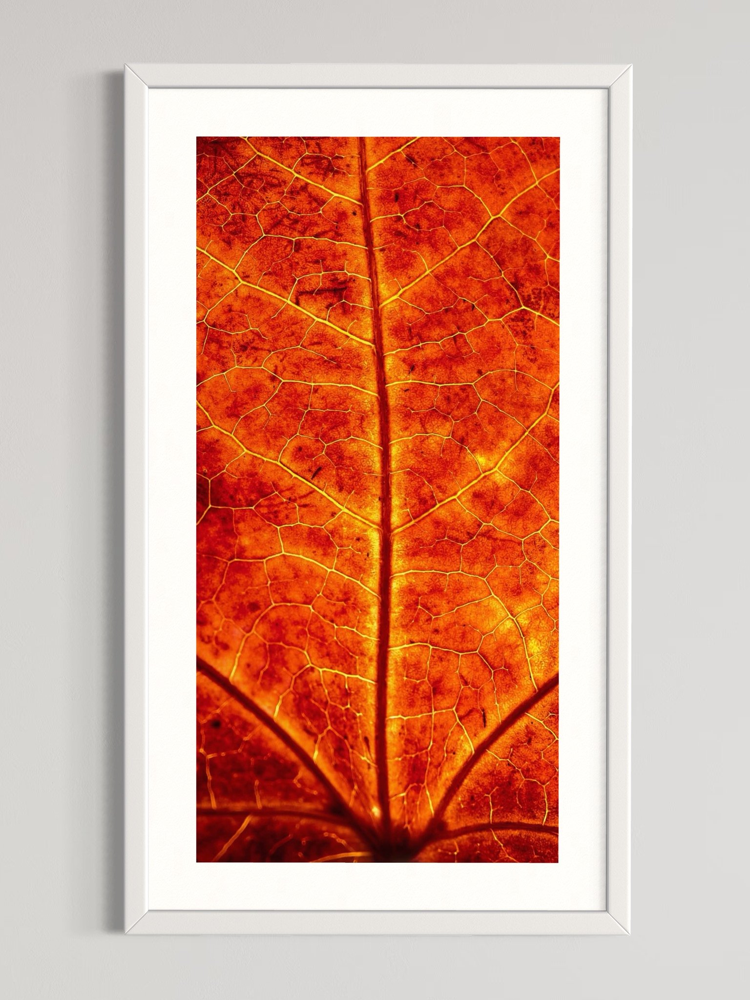 SEMD304 - White Frame.jpeg