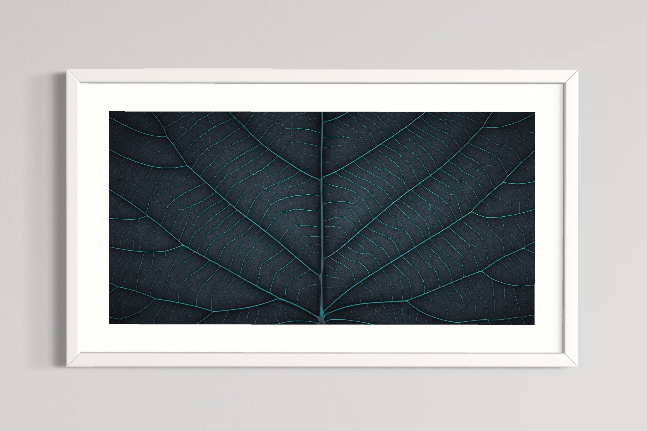 SEMD397 - White Frame.JPG