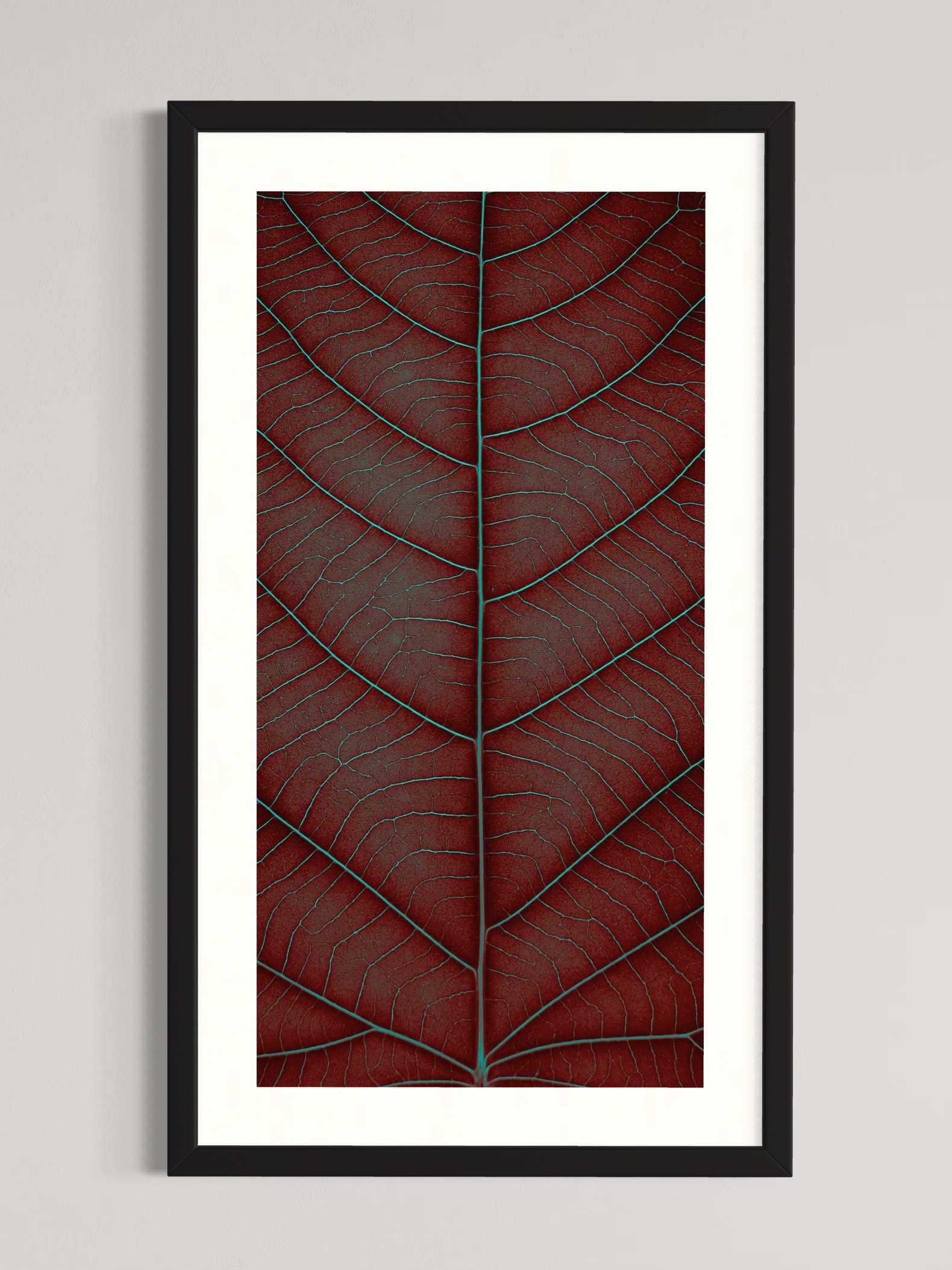 SEMD377 - Black Frame.jpeg