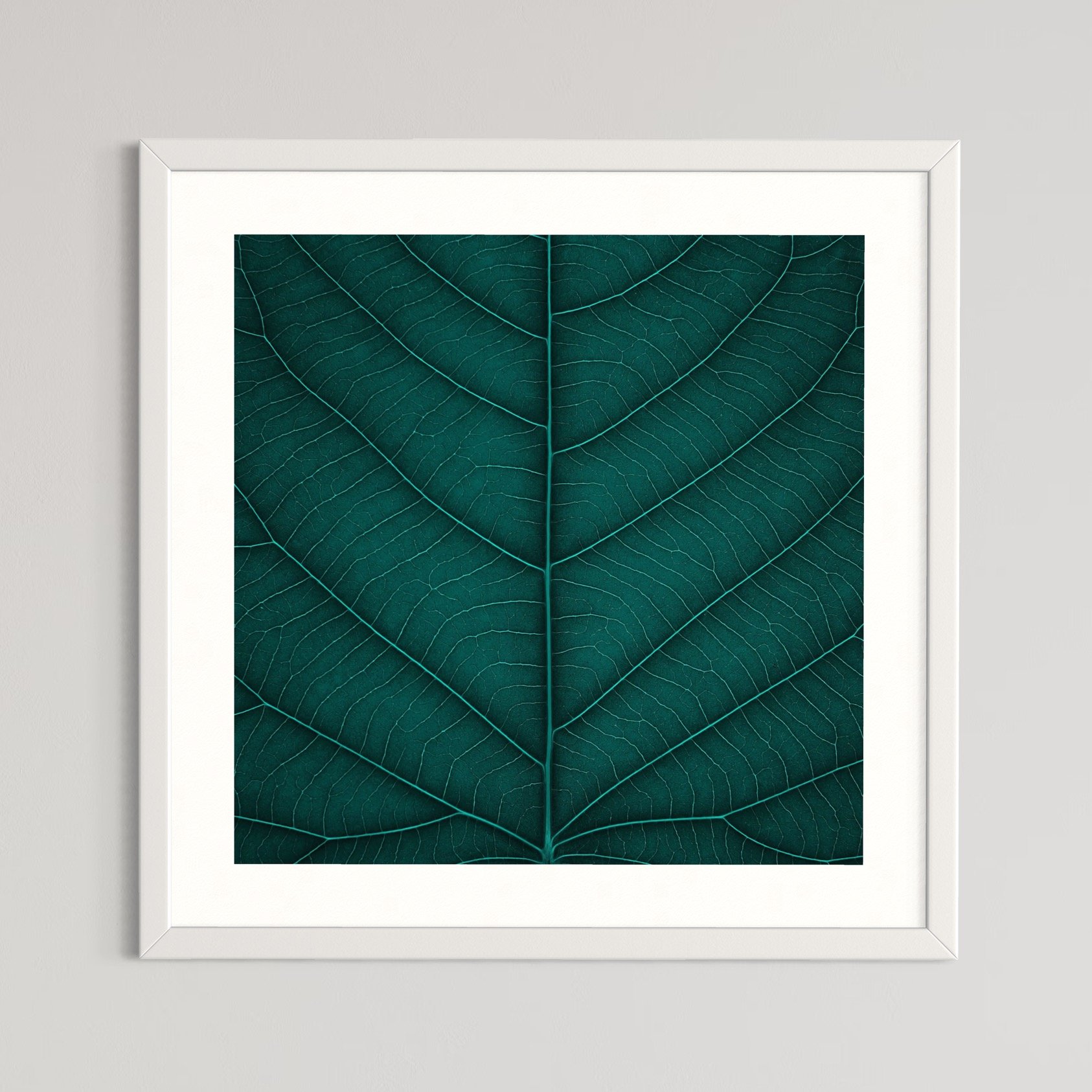 SEMD403 - White Frame.jpeg