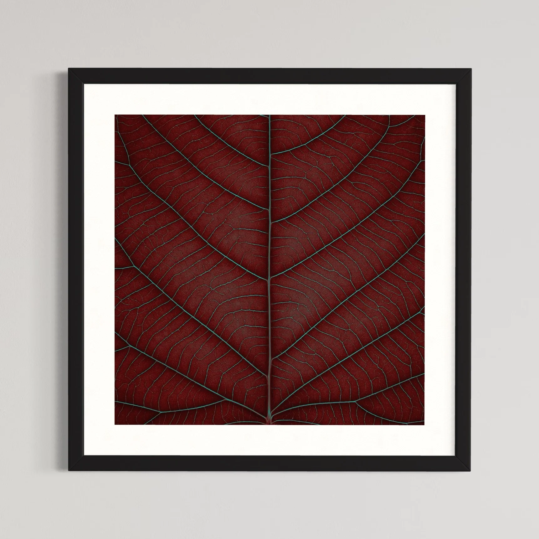 SEMD400 - Black Frame.jpeg