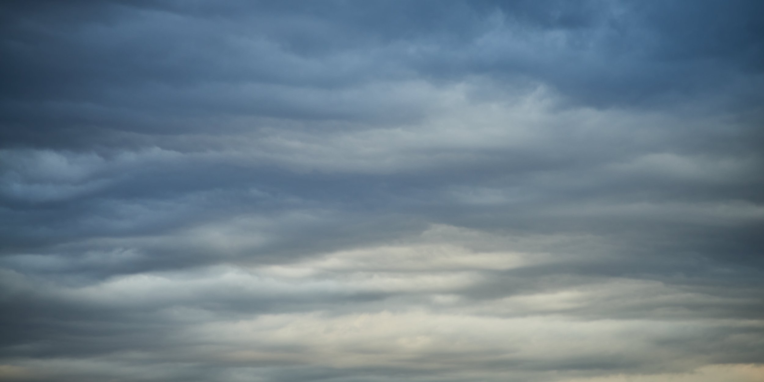 SEMD488 - DSC_1637 - Ratio 1x2.jpg