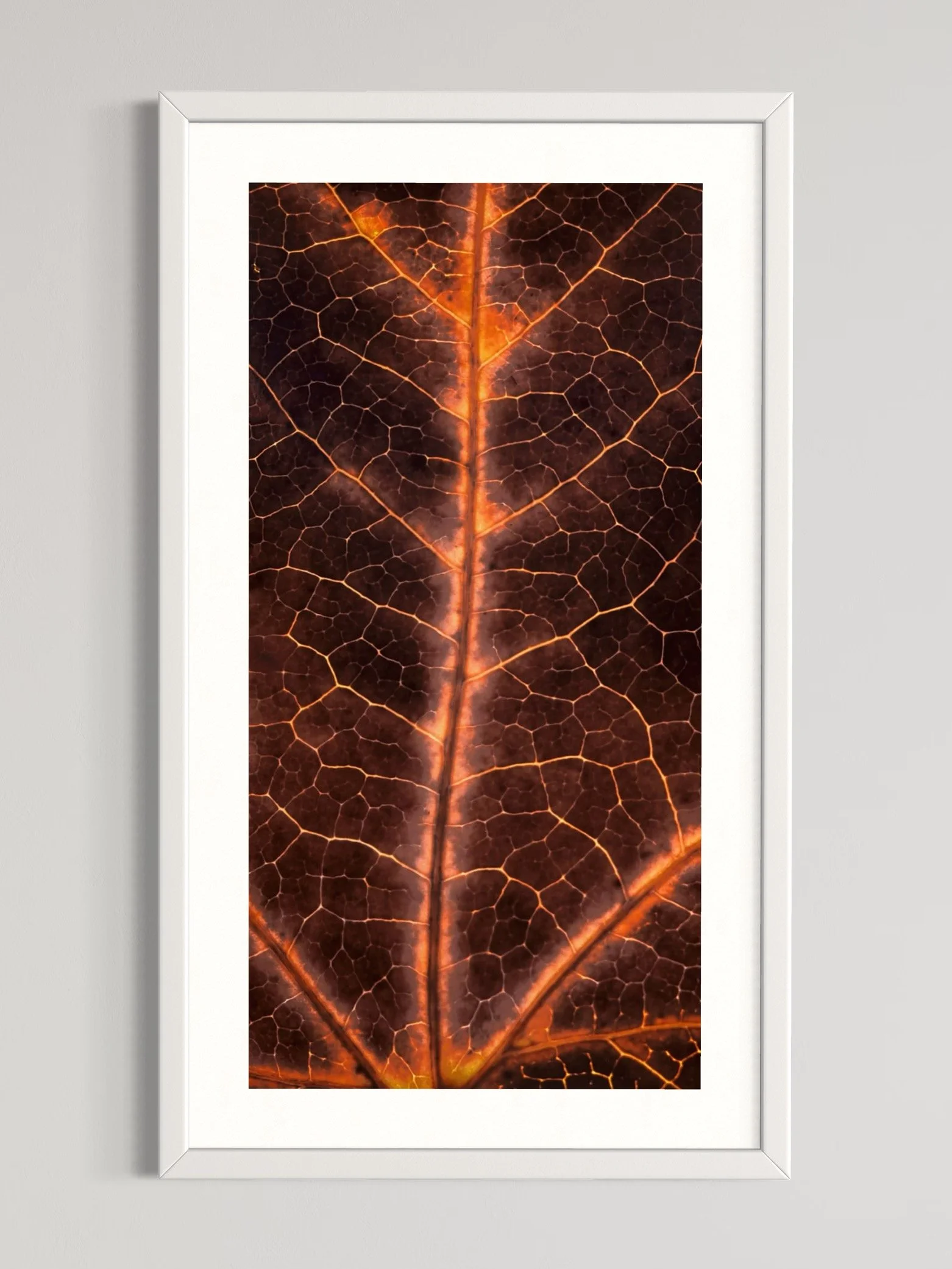 SEMD318 - White Frame.jpeg