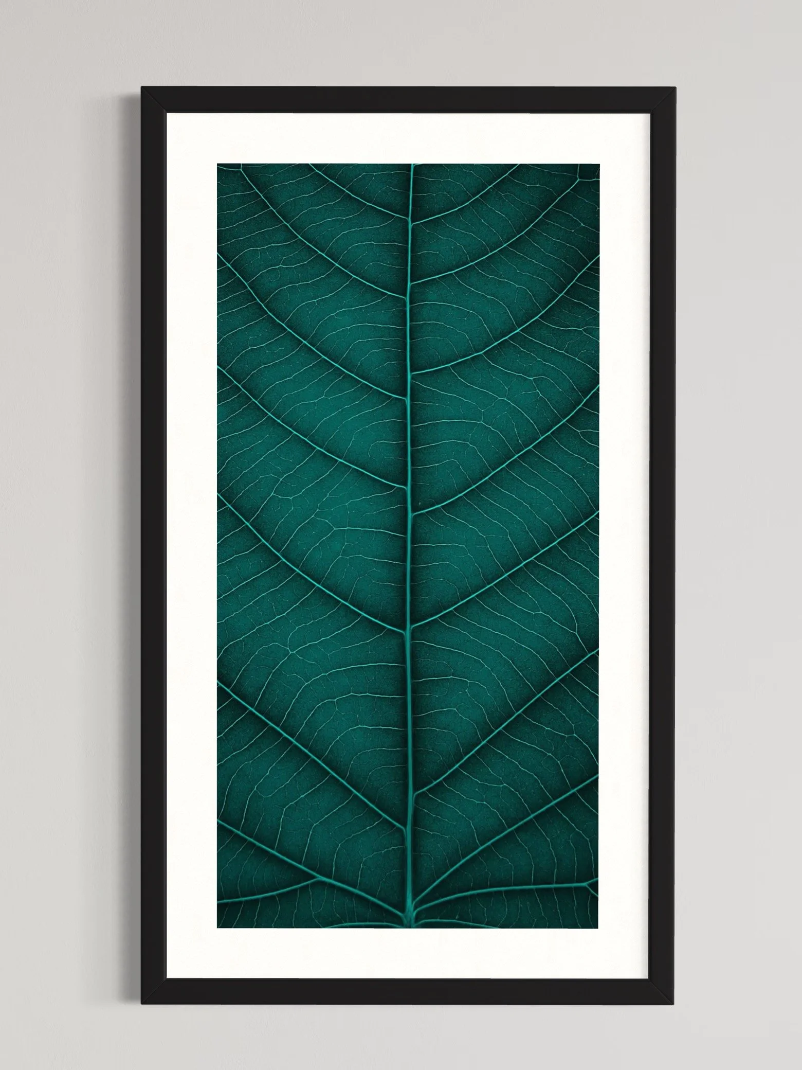 SEMD378 - Black Frame.jpeg