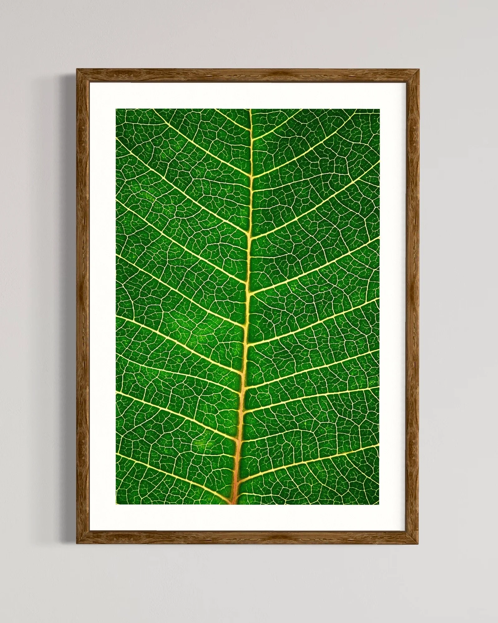 SEMD309 - Natural Wood Frame.JPG