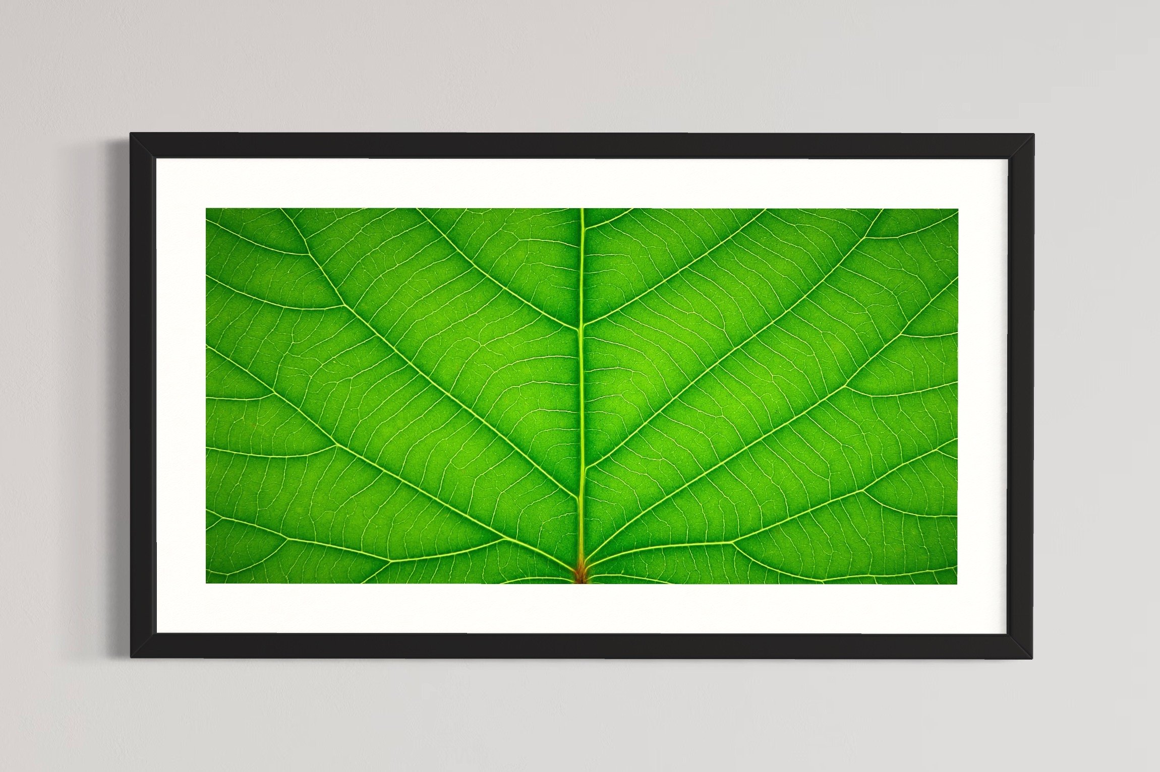 SEMD380 - Black Frame.JPG