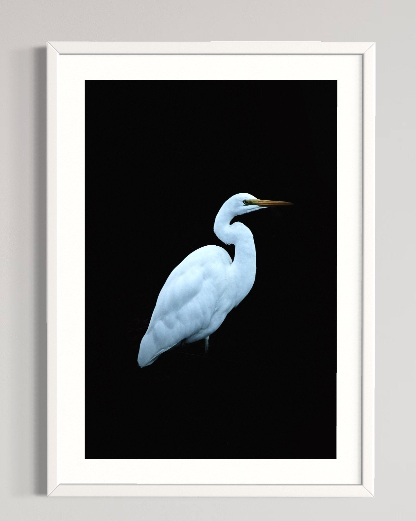SEMD580+-+White+Frame.jpg