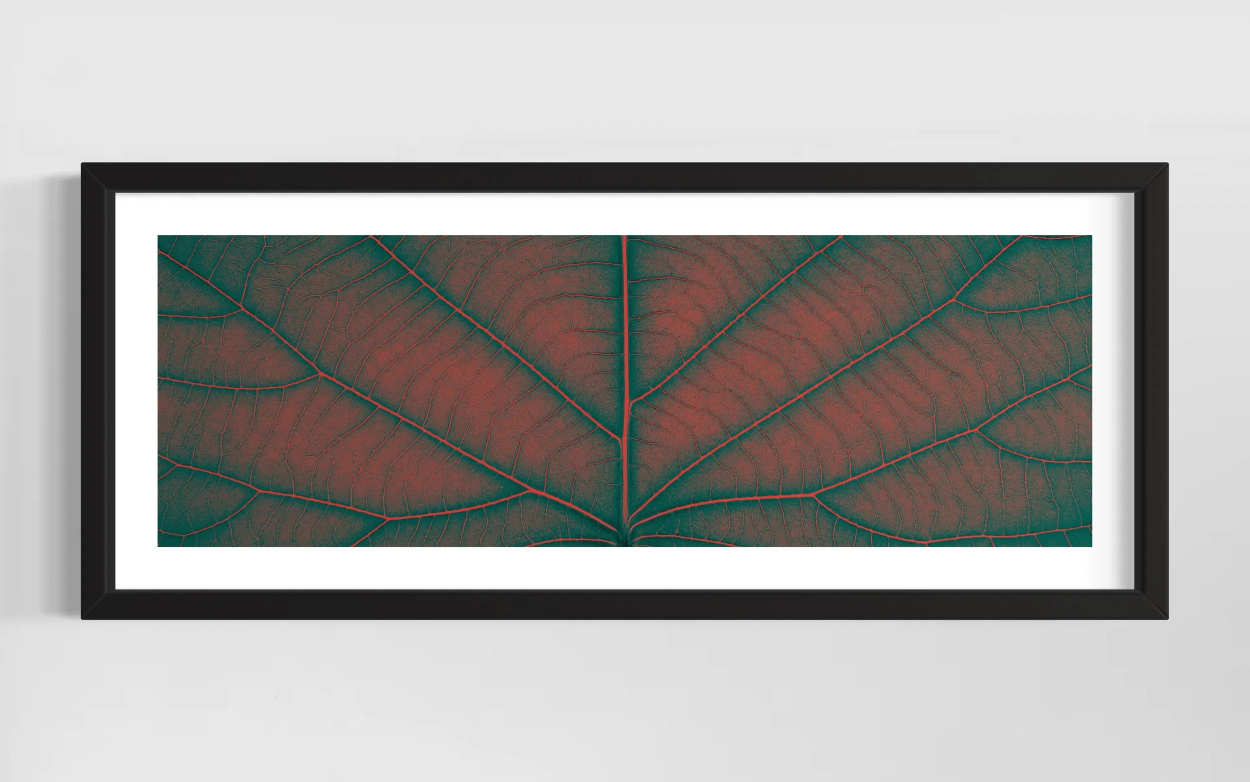 SEMD384 - Black Frame.JPG