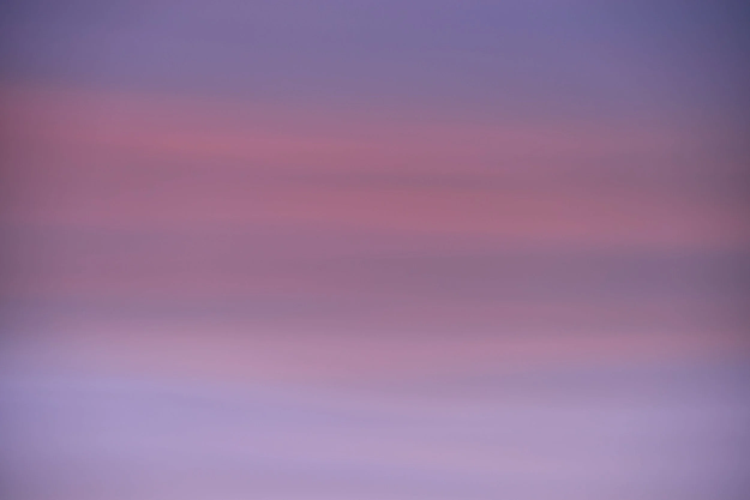 SEMD510 - DSC_1736 - Ratio 2x3.jpg