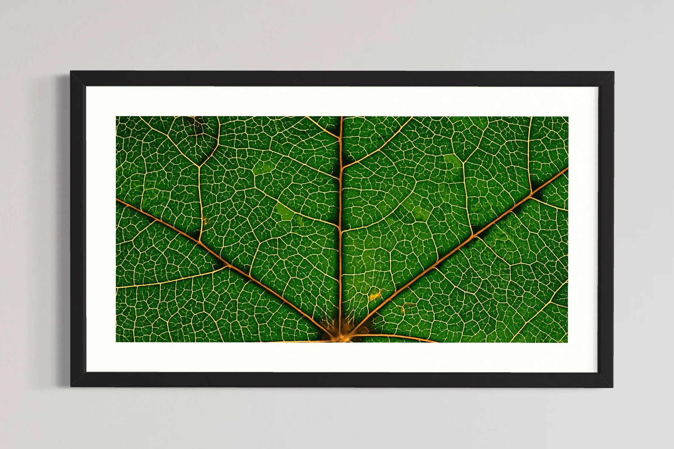 SEMD337 - Black Frame.JPG