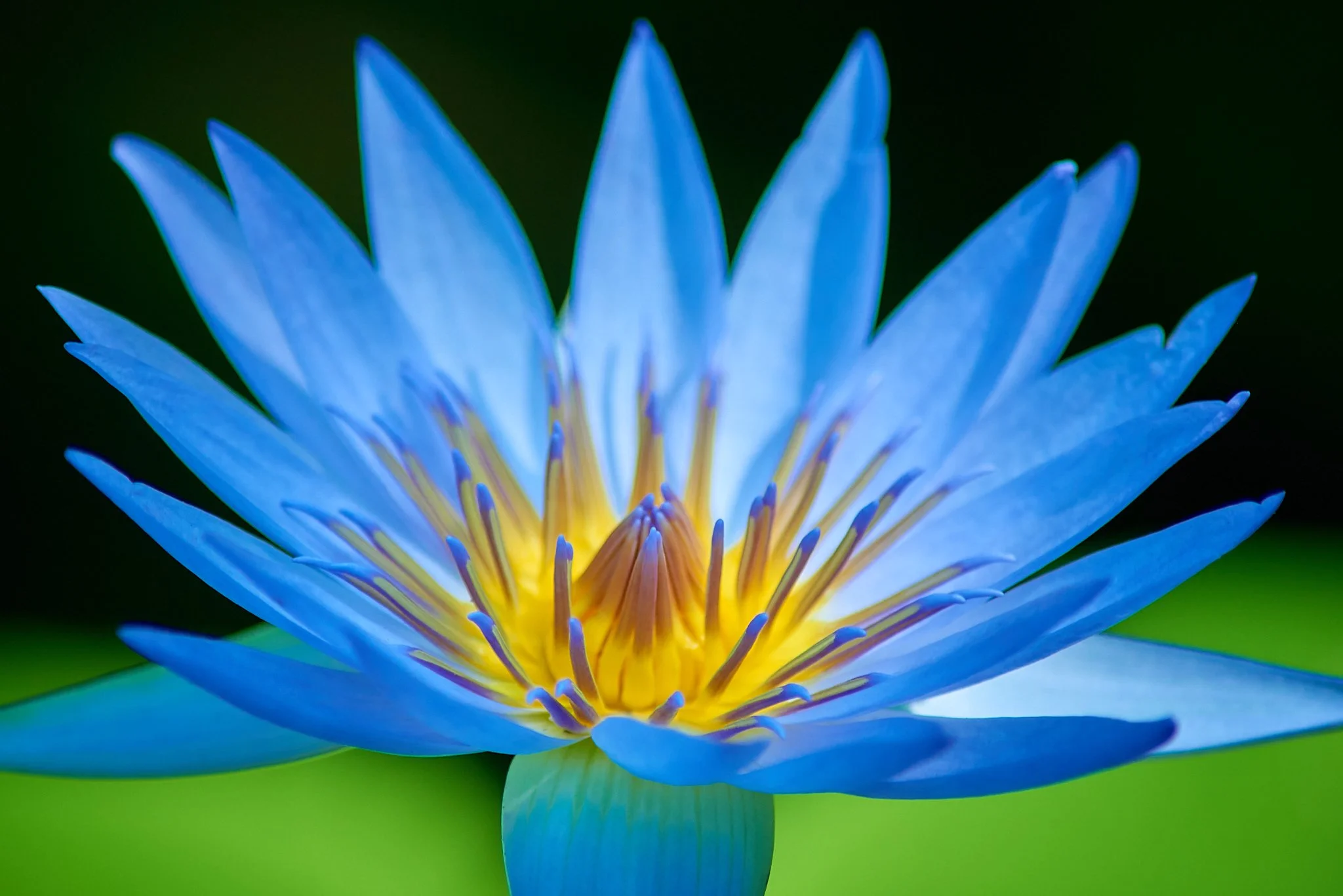 SEMD639 - SEM_7590 - Camera - Nikon D800